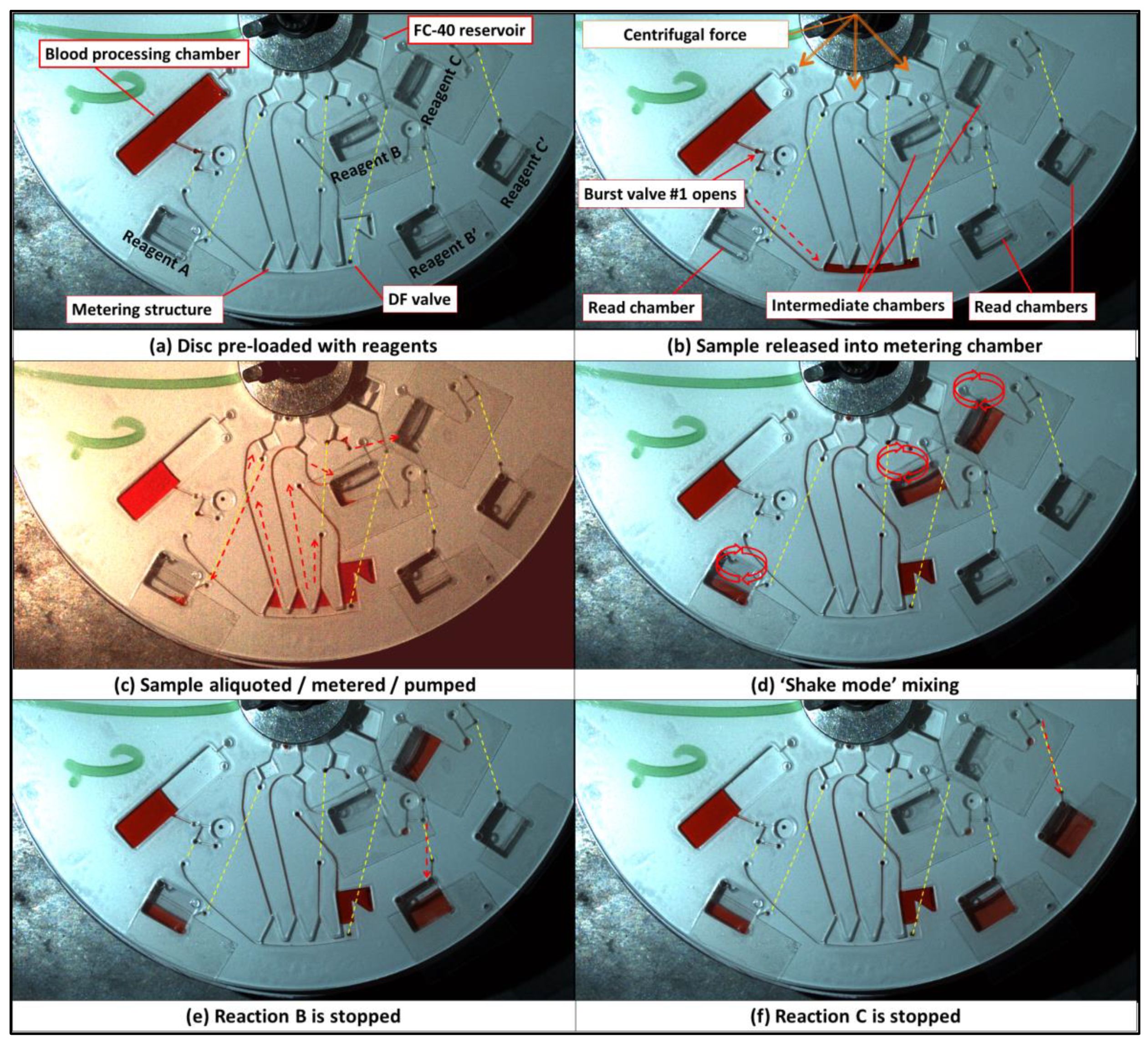 Processes 11 00128 g008 Processes 11 00128 g008