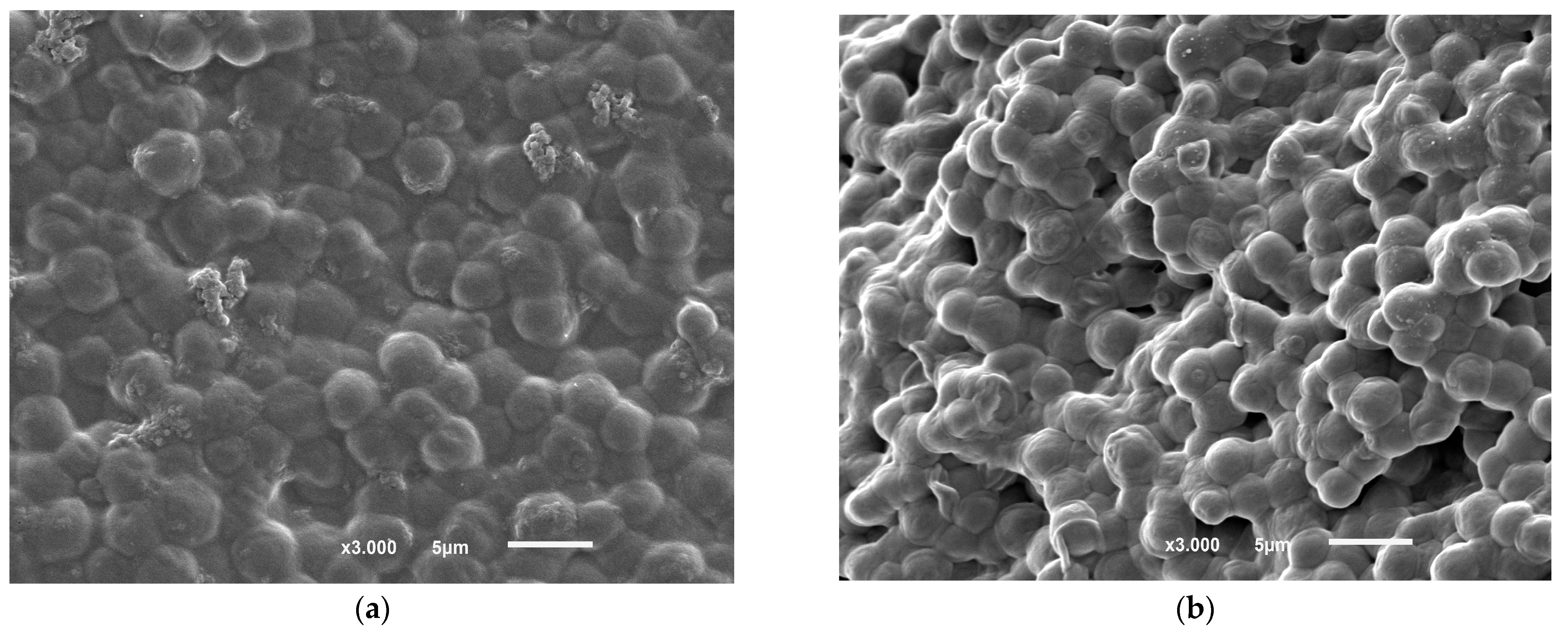 Processes 11 00179 g012