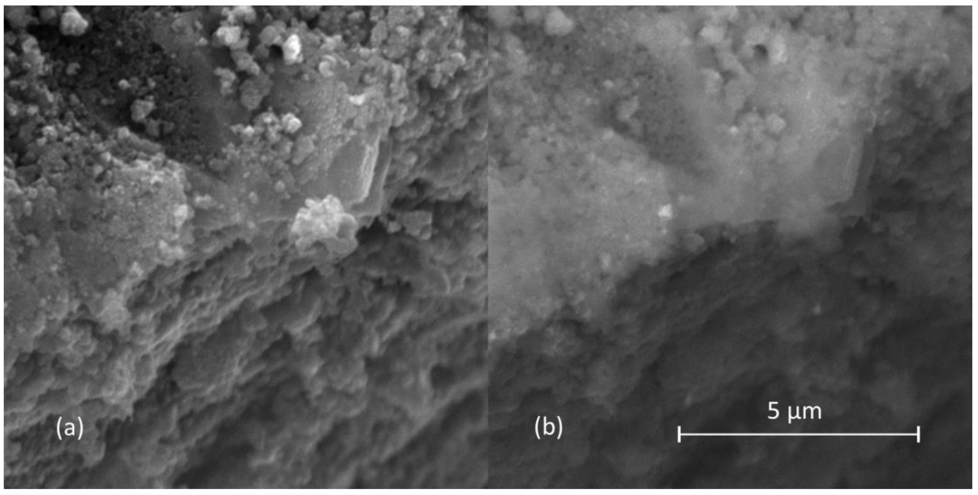 Processes 11 00210 g001