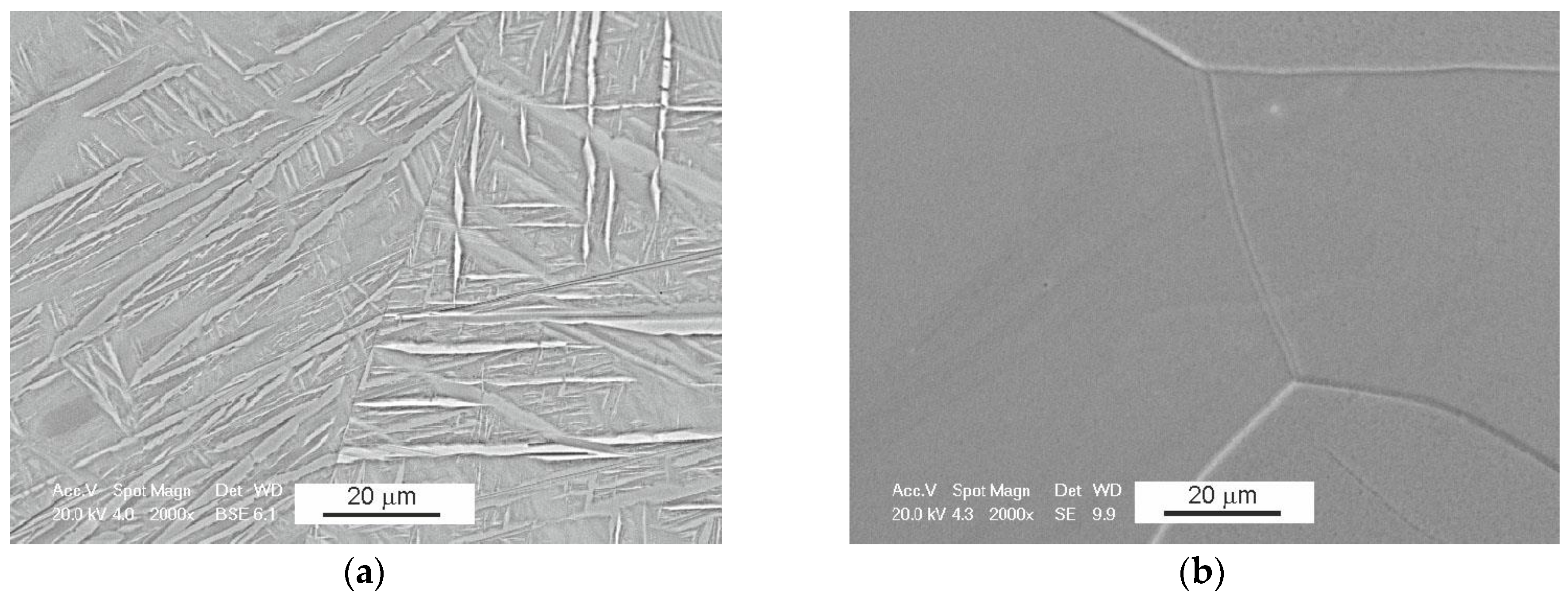 Processes 11 00221 g001 Processes 11 00221 g001