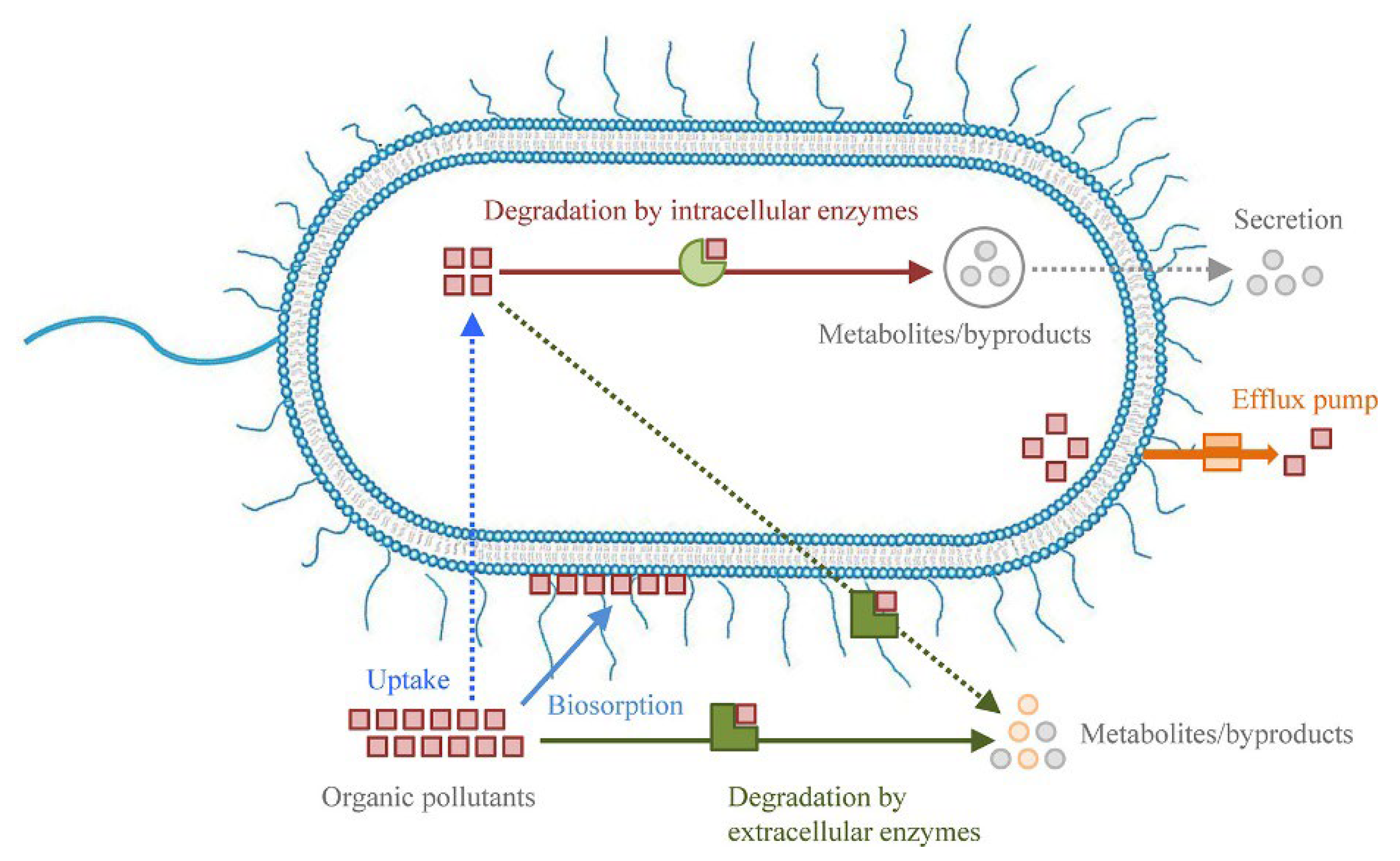 Processes 11 00246 g006 Processes 11 00246 g006