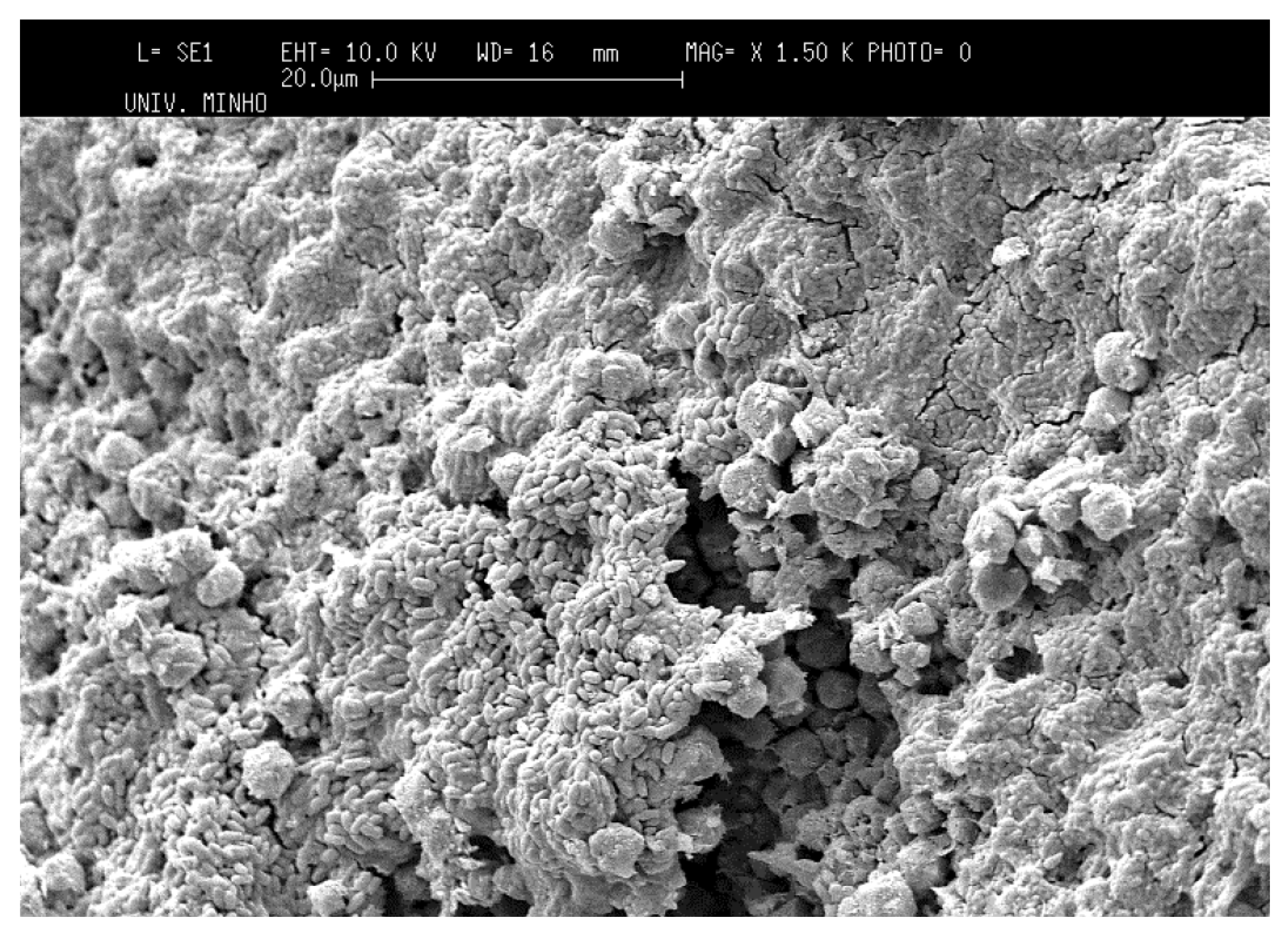 Processes 11 00246 g010 Processes 11 00246 g010