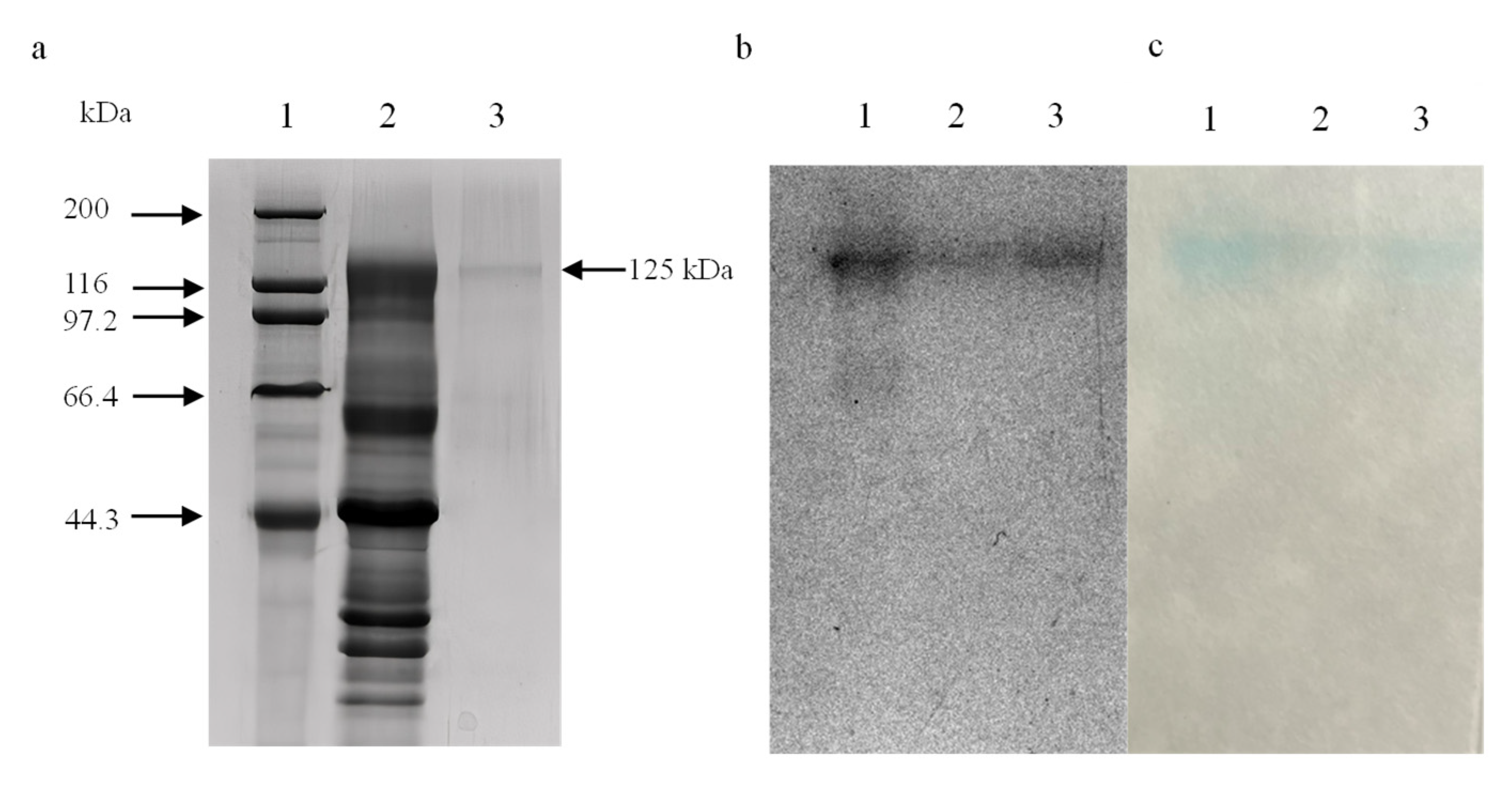 Processes 11 00255 g002 Processes 11 00255 g002