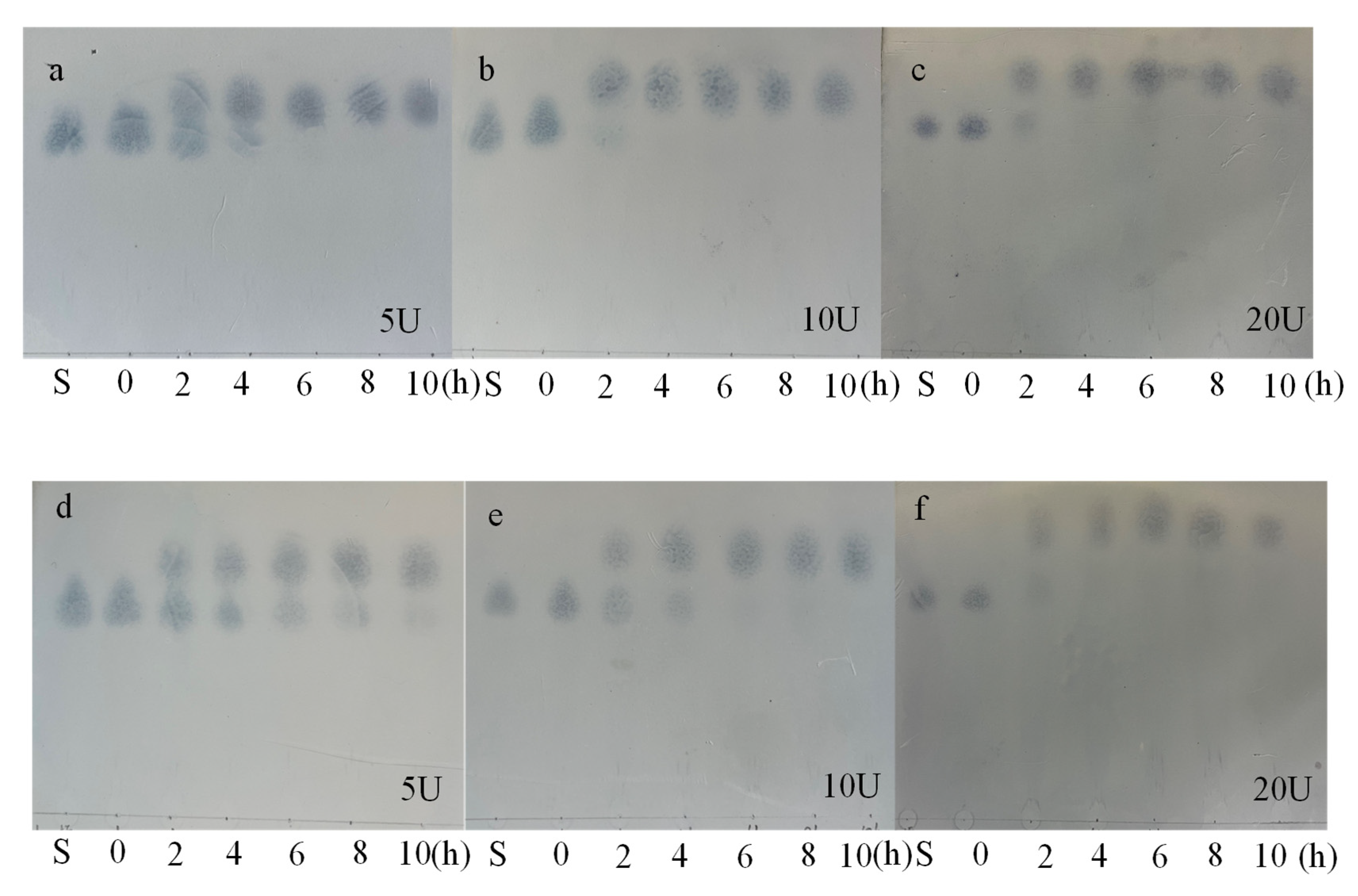 Processes 11 00255 g005 Processes 11 00255 g005