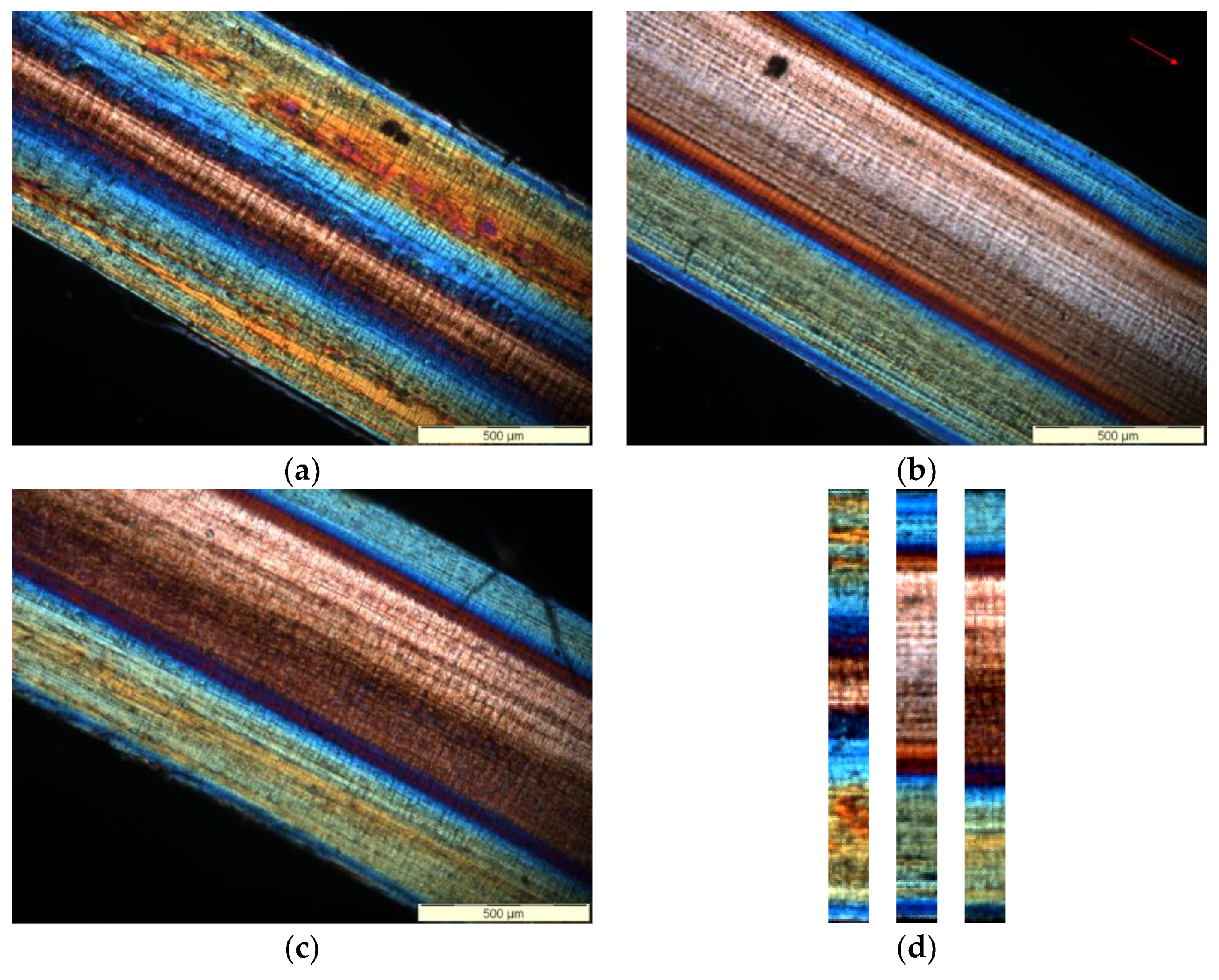 Processes 11 00273 g004