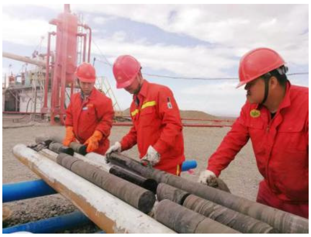 Processes 11 00274 g001