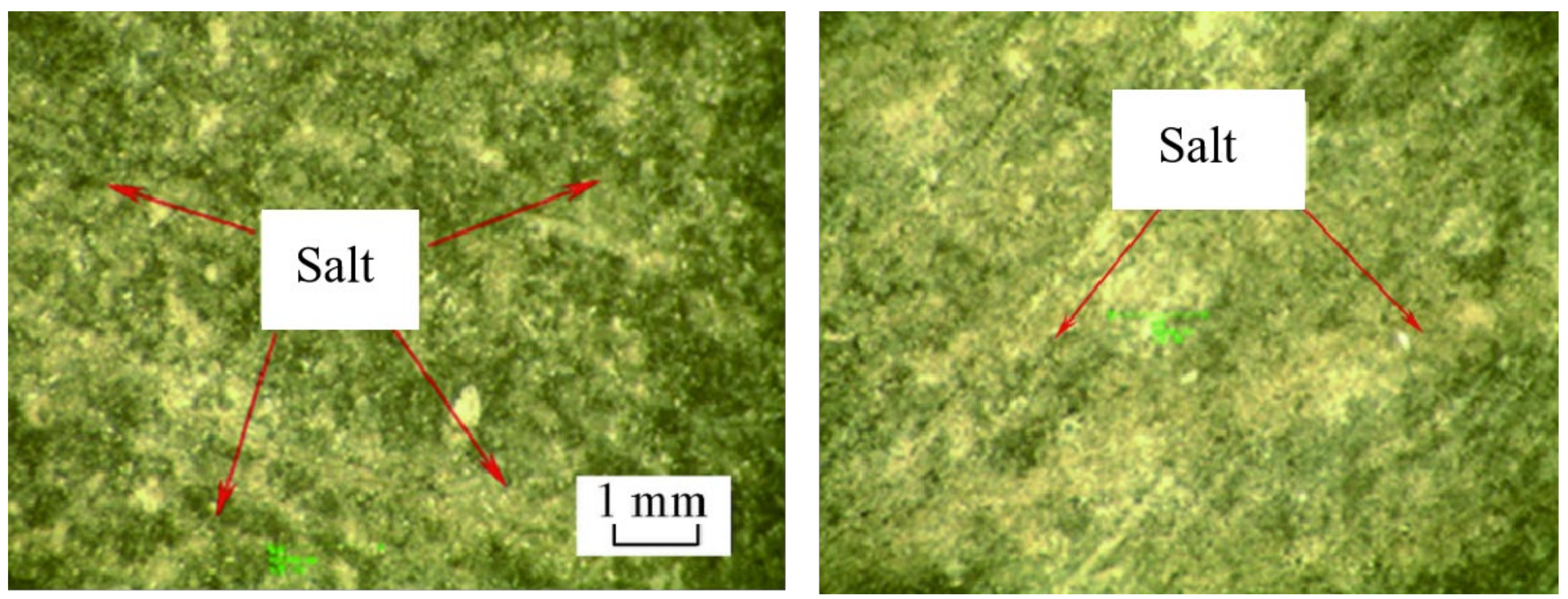 Processes 11 00280 g003 Processes 11 00280 g003