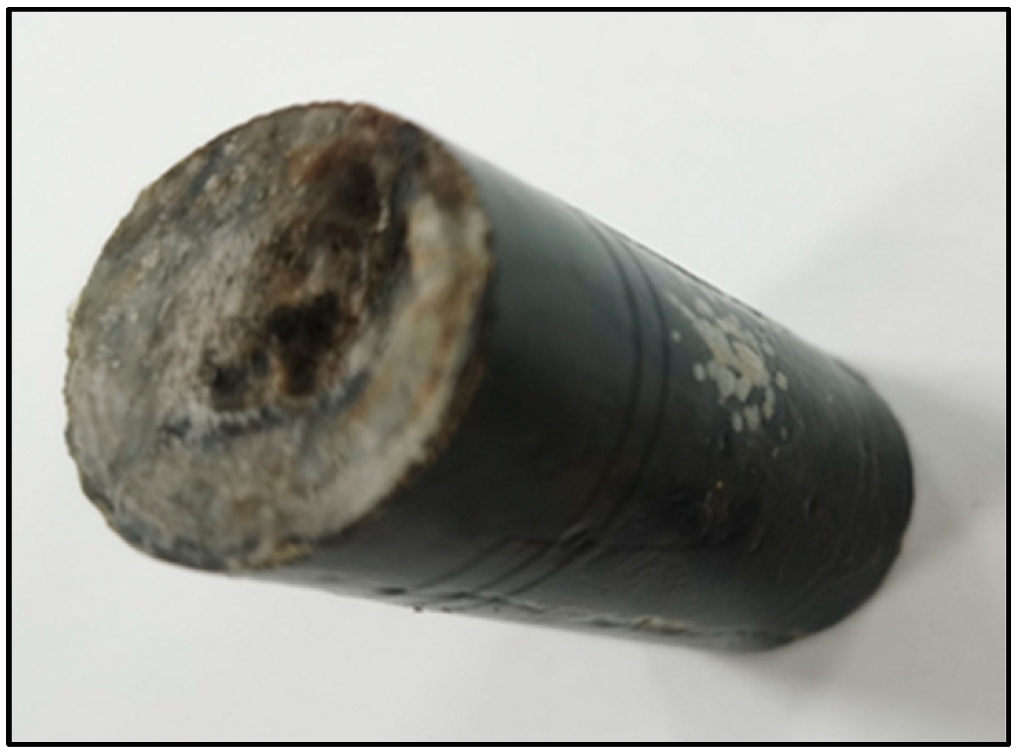 Processes 11 00304 g008 550