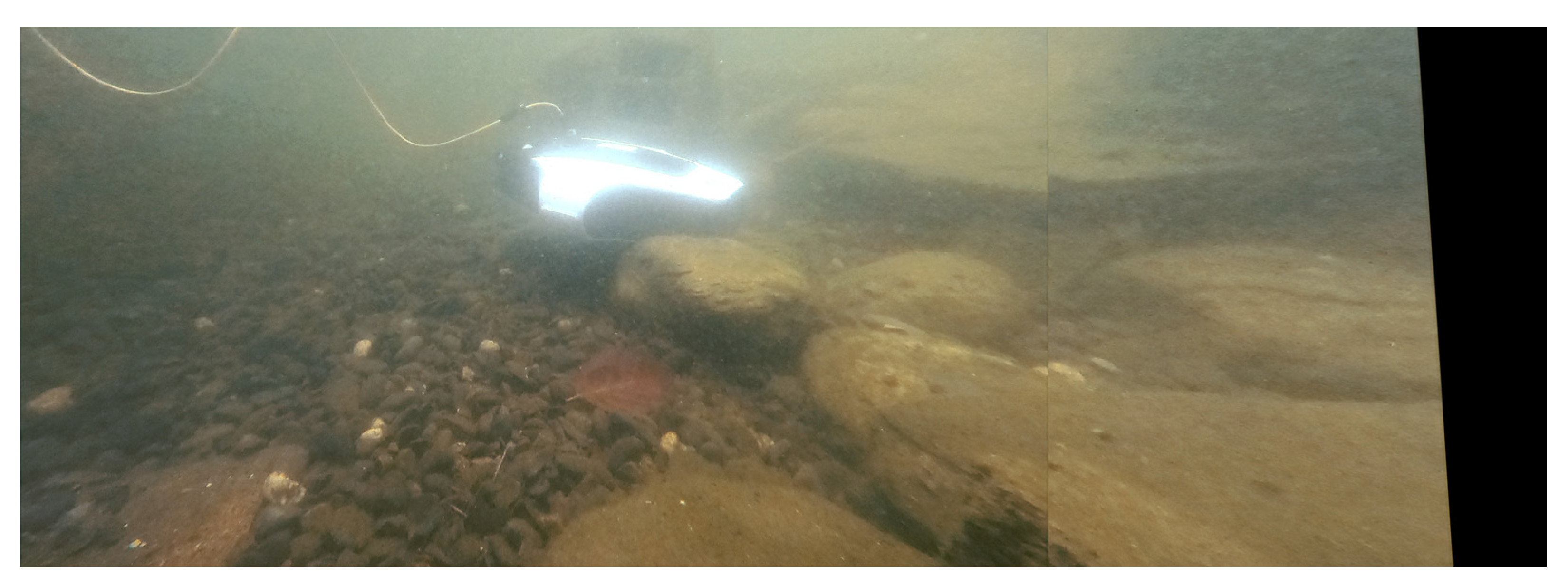 Processes 11 00312 g013 Processes 11 00312 g013