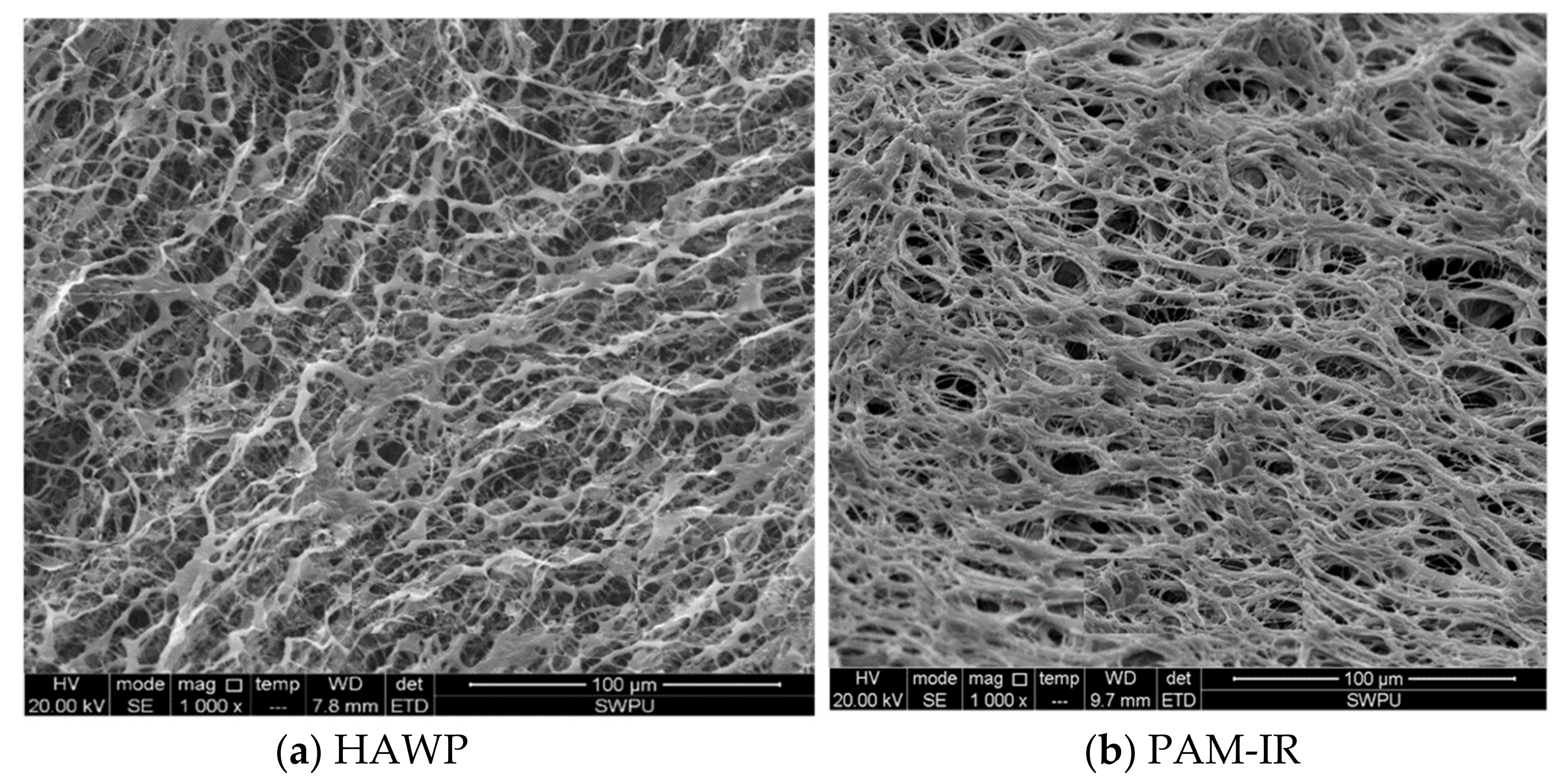 Processes 11 00325 g003