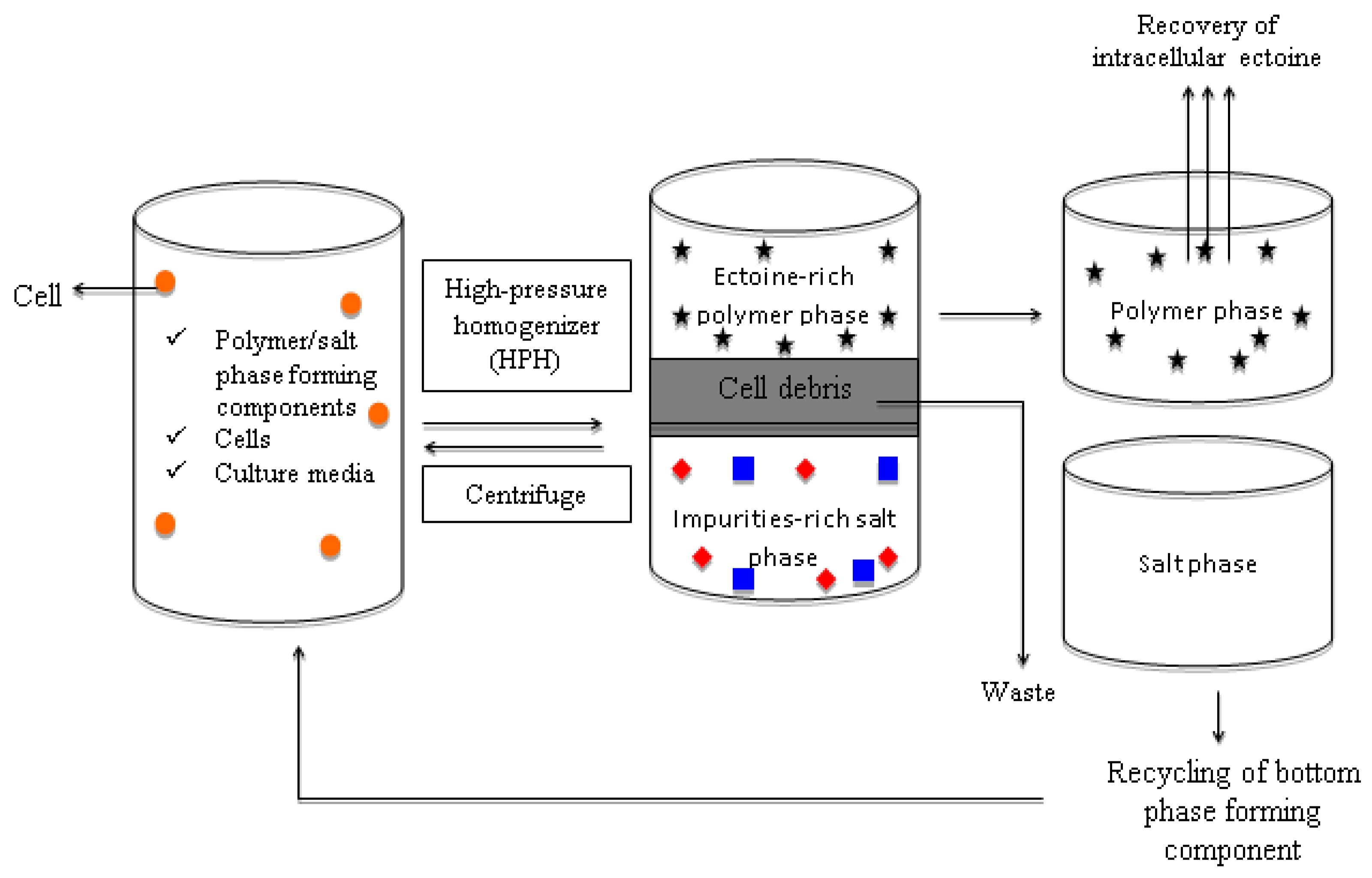 Processes 11 00339 g002 Processes 11 00339 g002