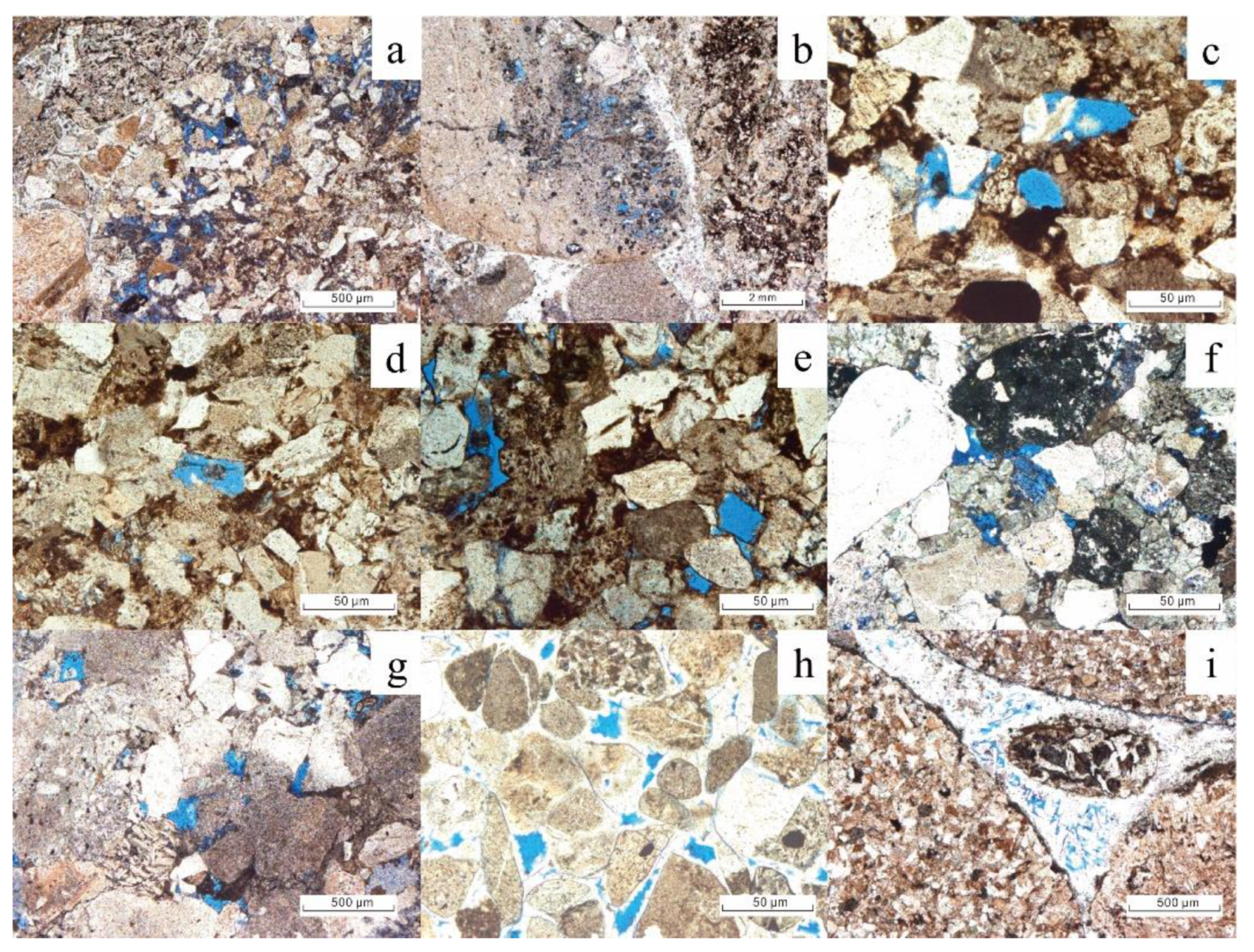 Processes 11 00345 g006
