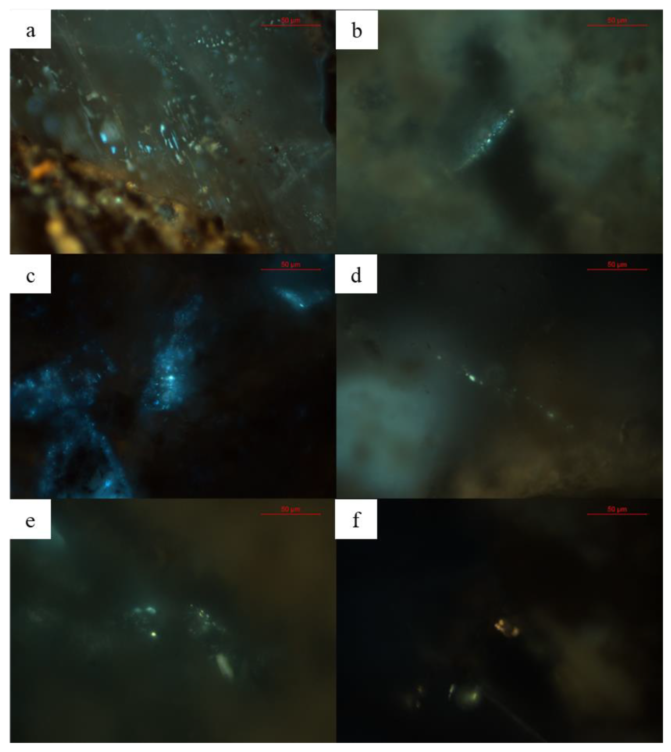 Processes 11 00345 g008