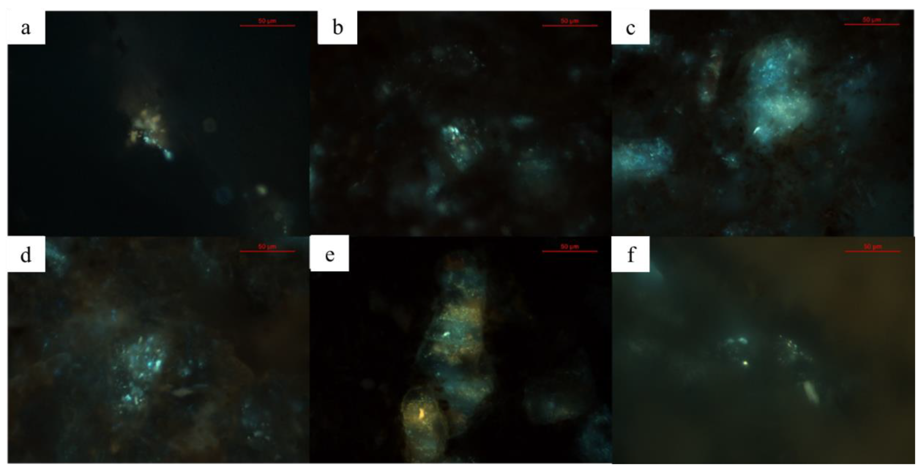 Processes 11 00345 g011