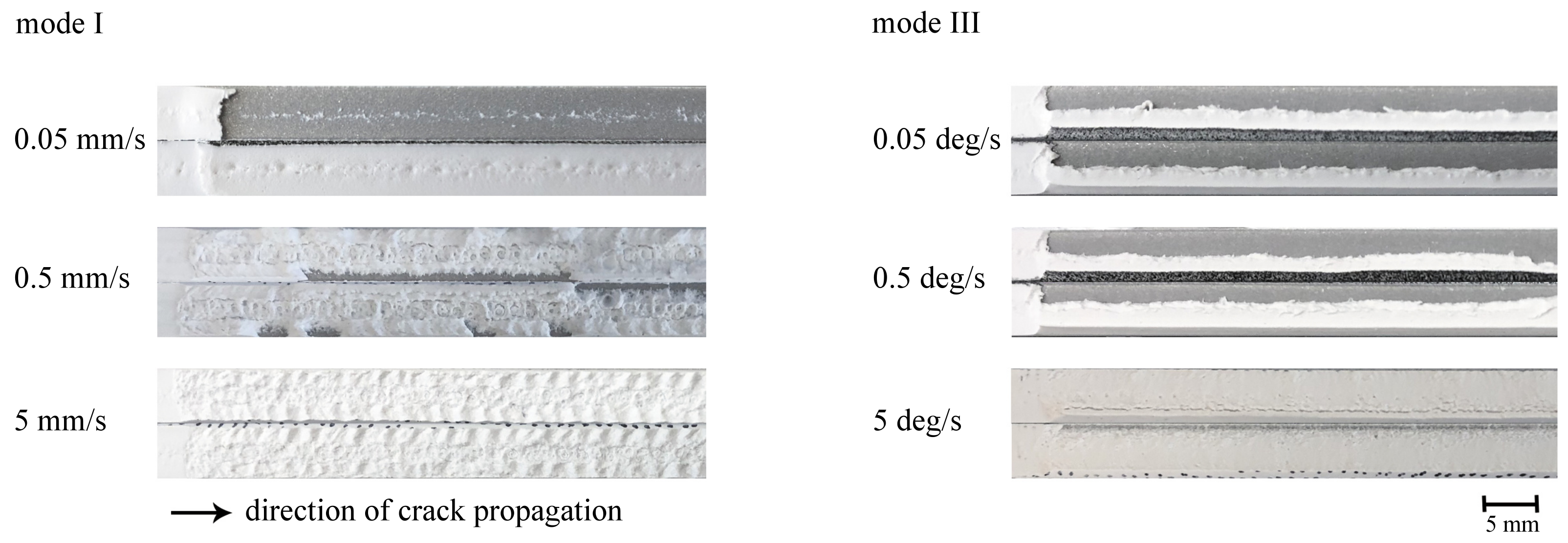 Processes 11 00356 g006
