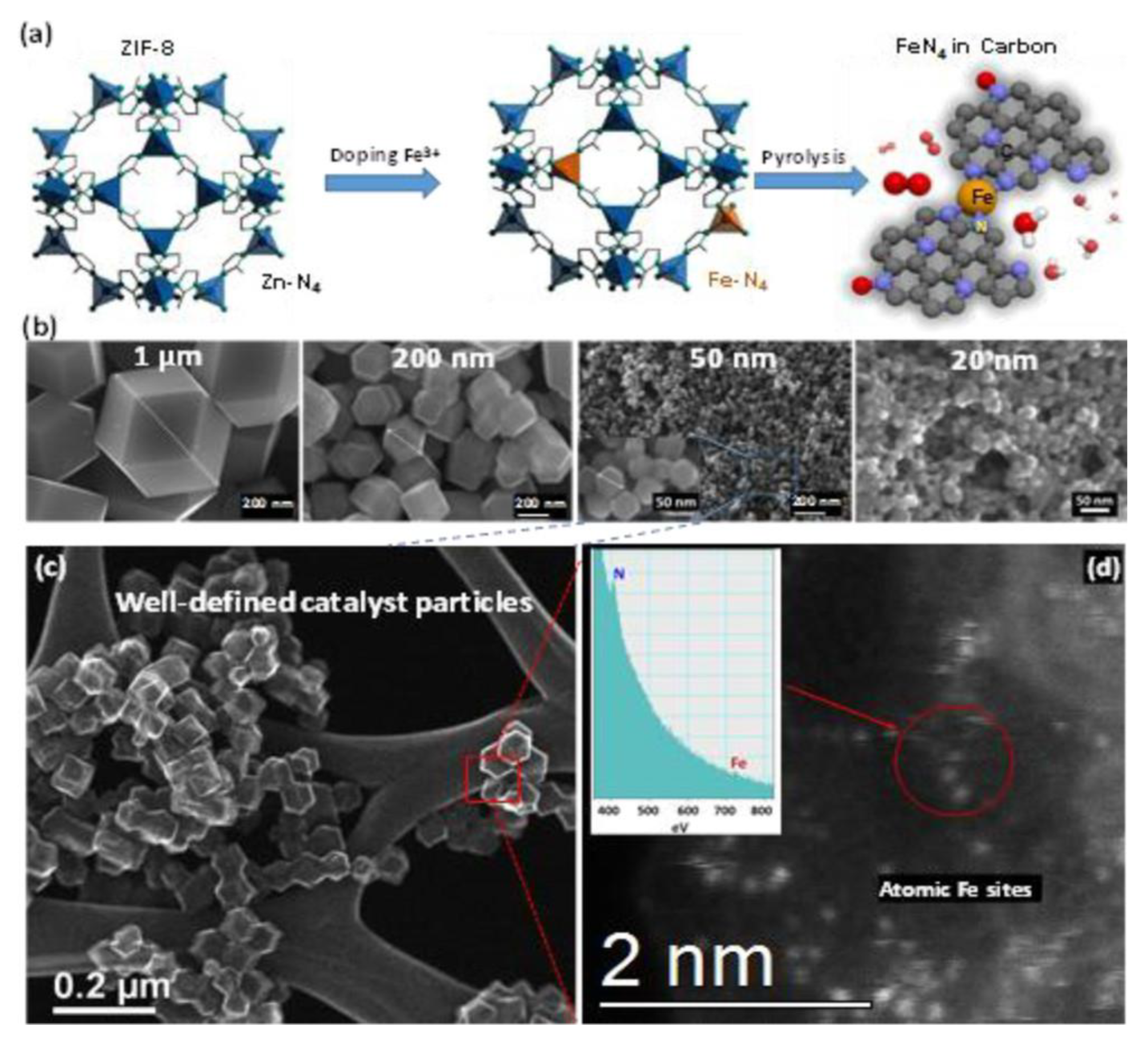 Processes 11 00361 g003 Processes 11 00361 g003