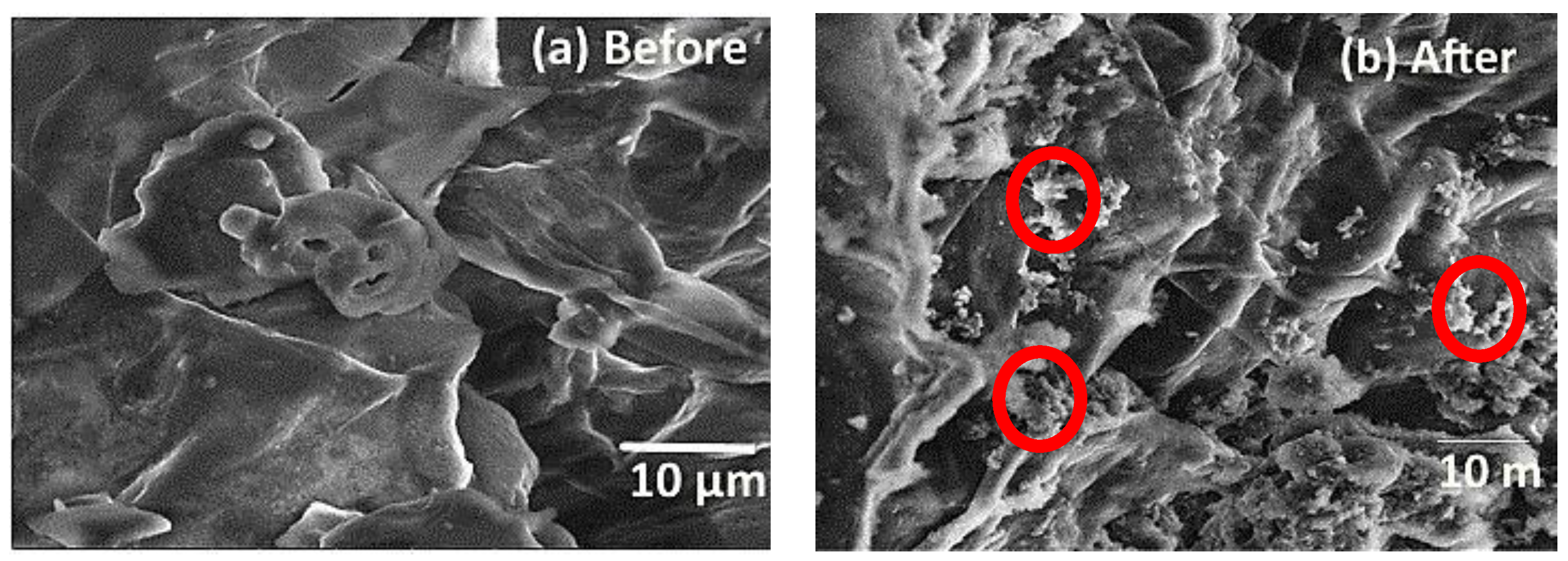 Processes 11 00363 g004 Processes 11 00363 g004