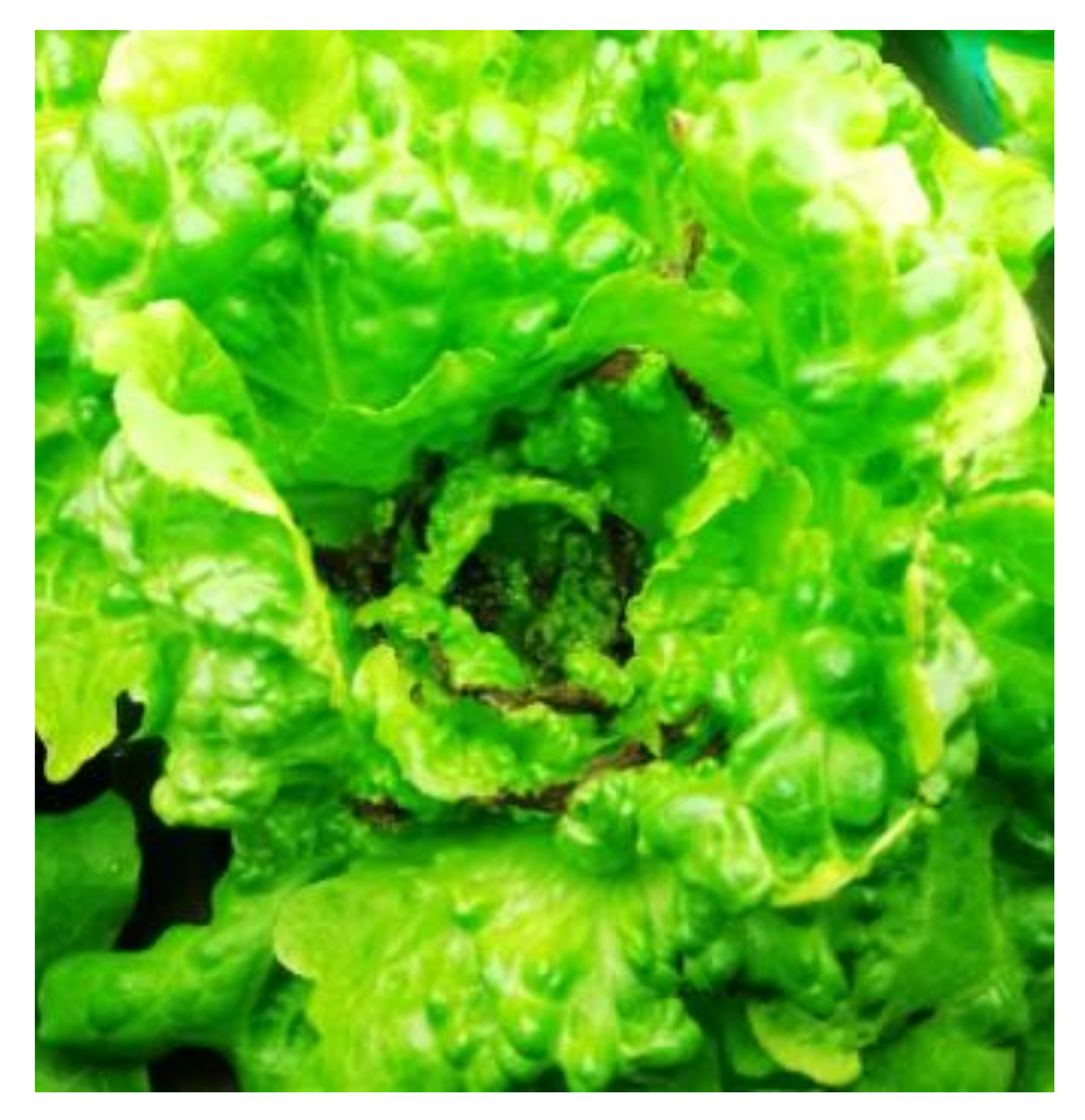 Processes 11 00365 g002