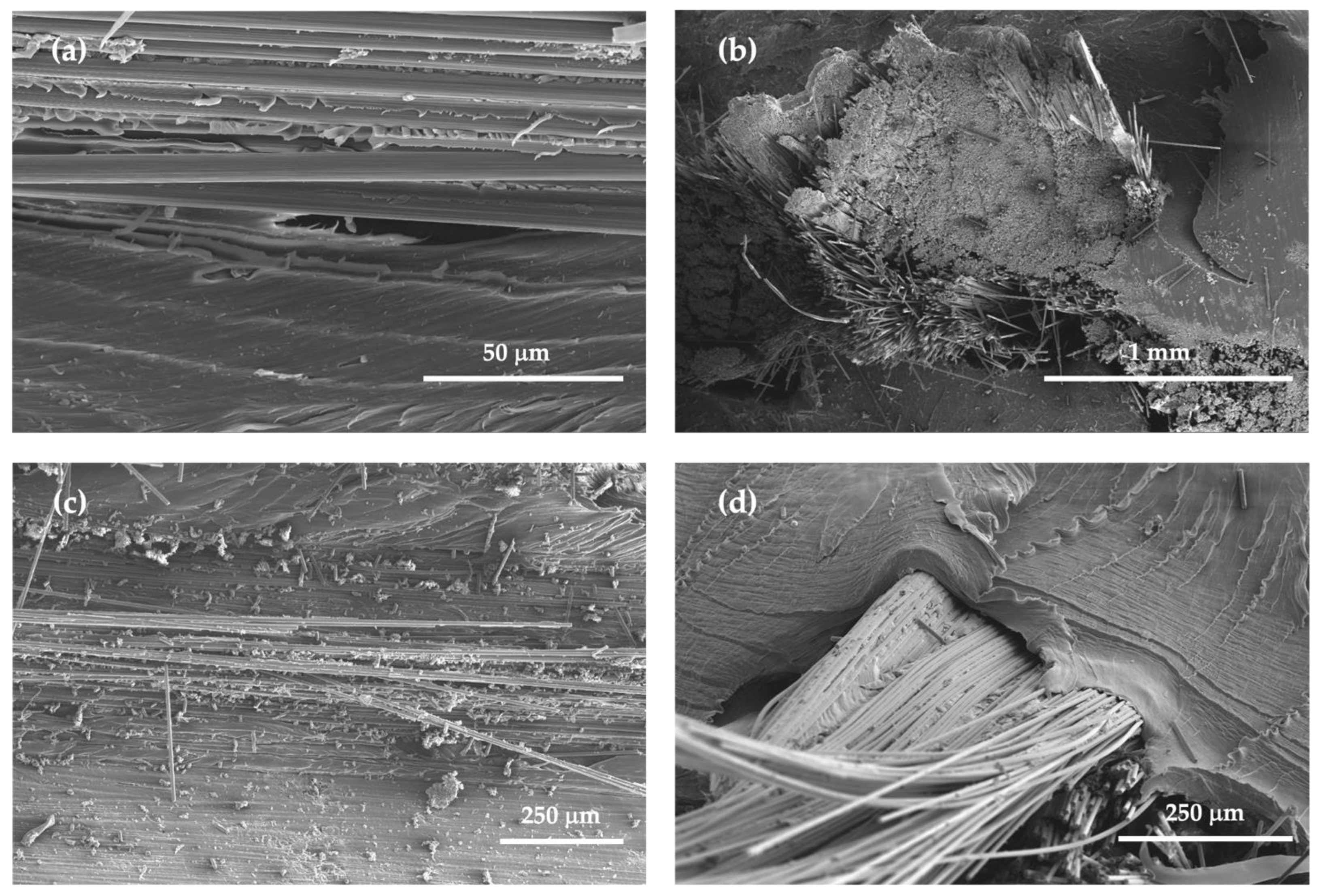 Processes 11 00366 g007