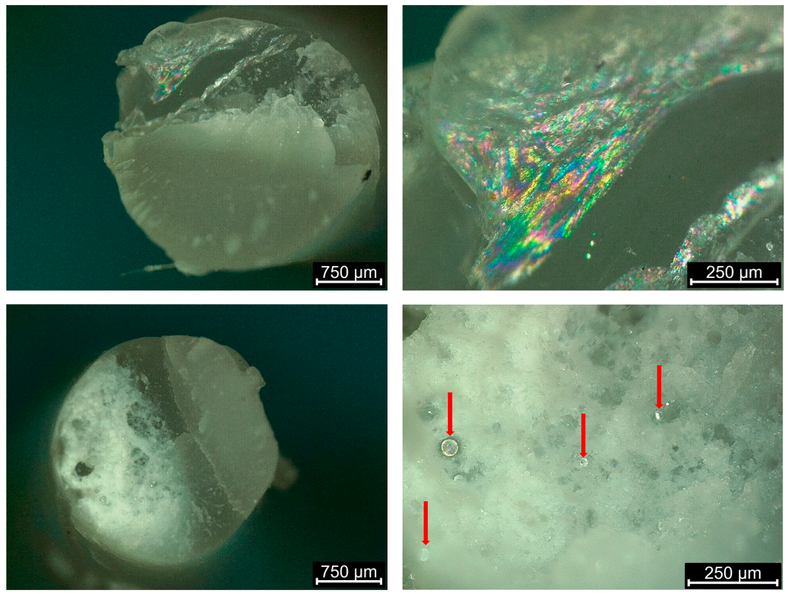 Processes 11 00395 g001 Processes 11 00395 g001