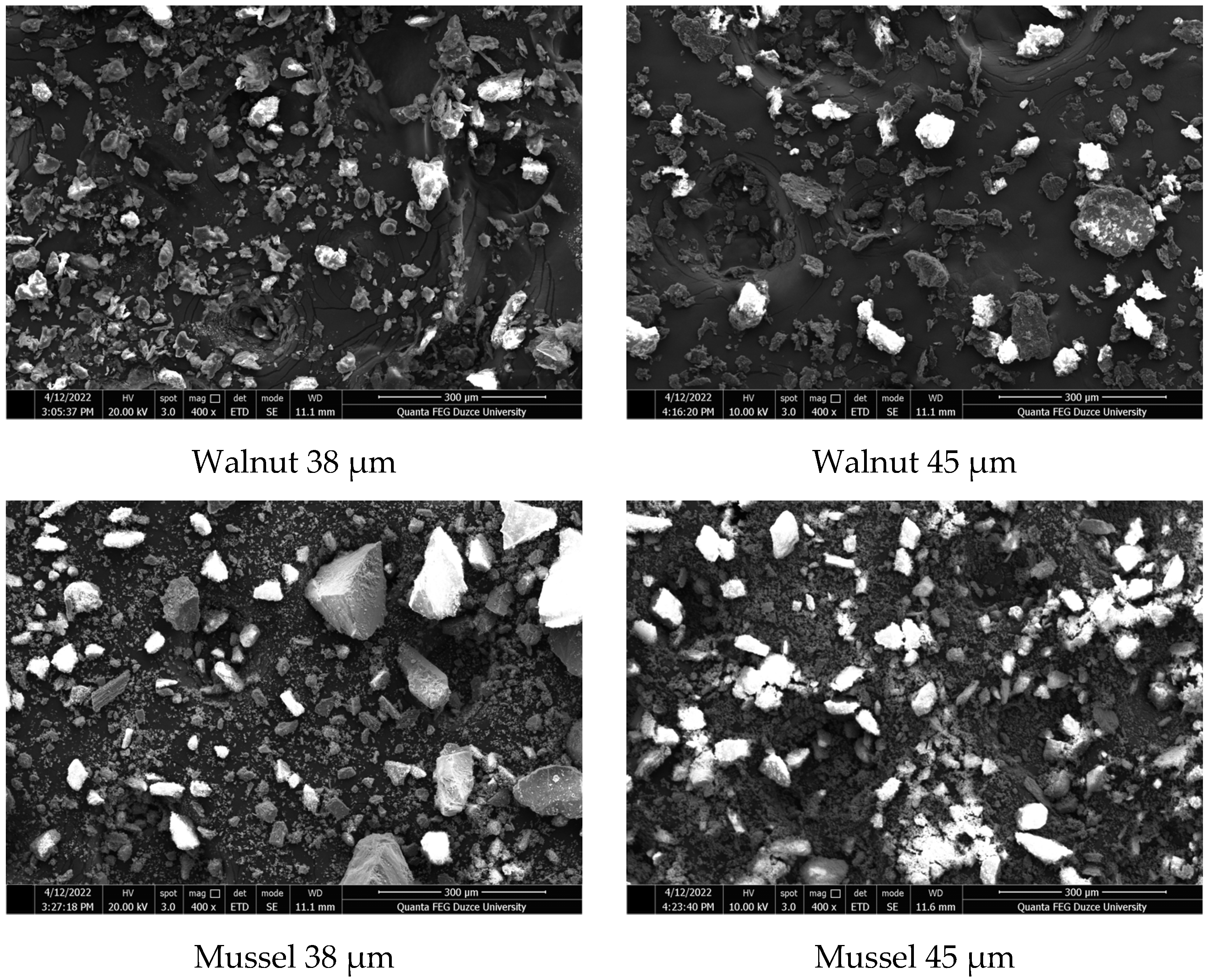 Processes 11 00406 g004a Processes 11 00406 g004a