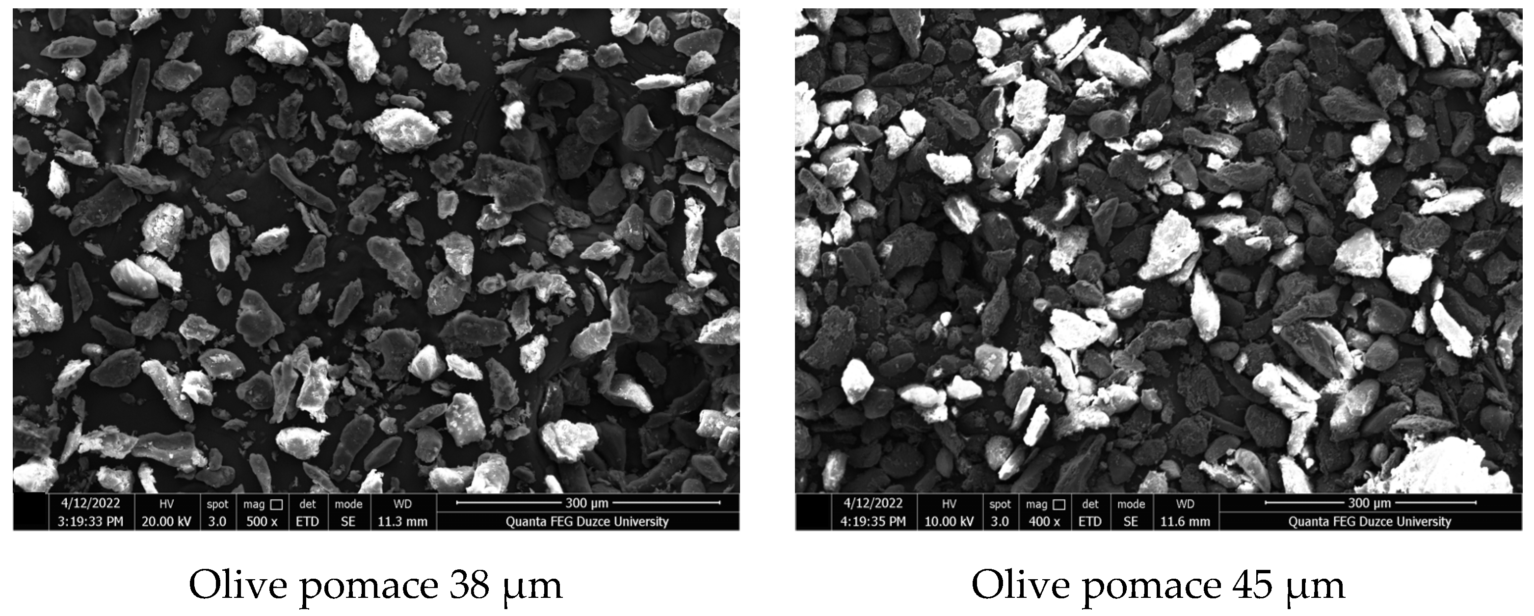 Processes 11 00406 g004b Processes 11 00406 g004b