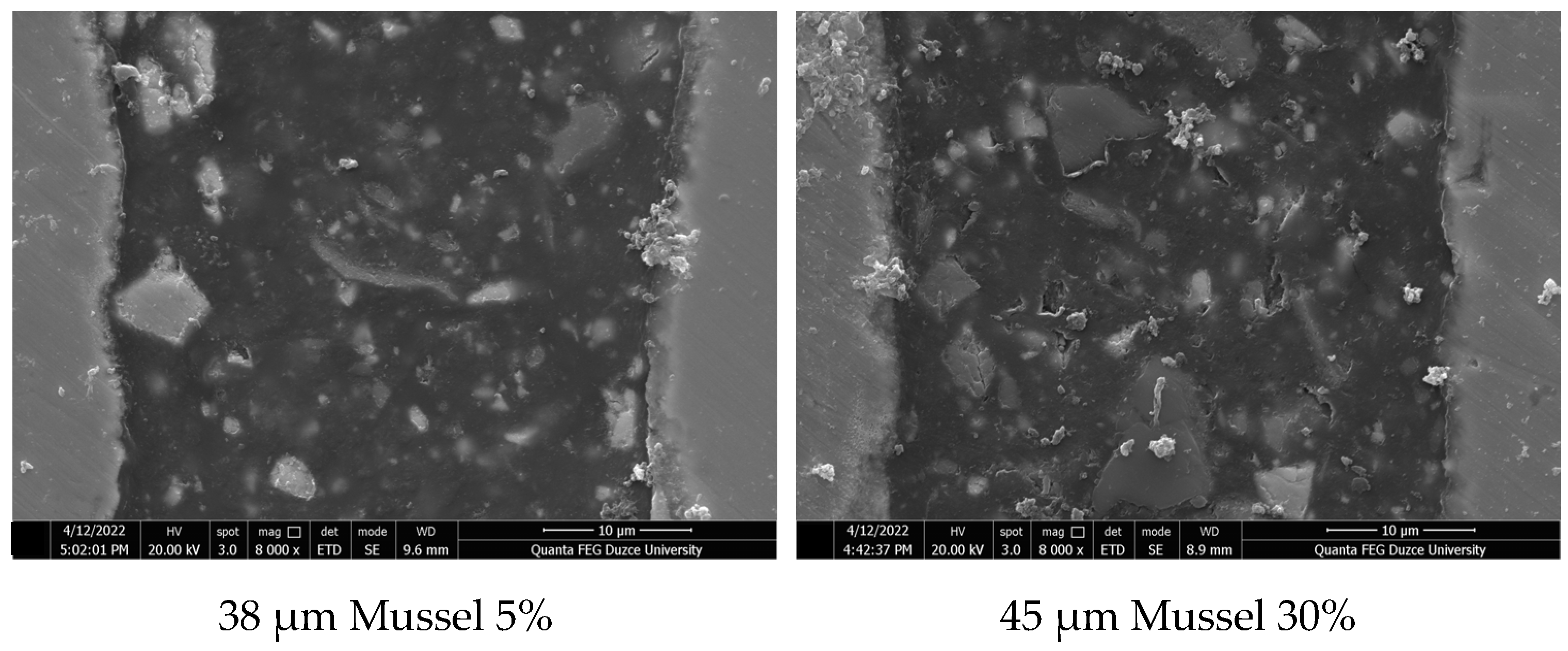 Processes 11 00406 g005b Processes 11 00406 g005b