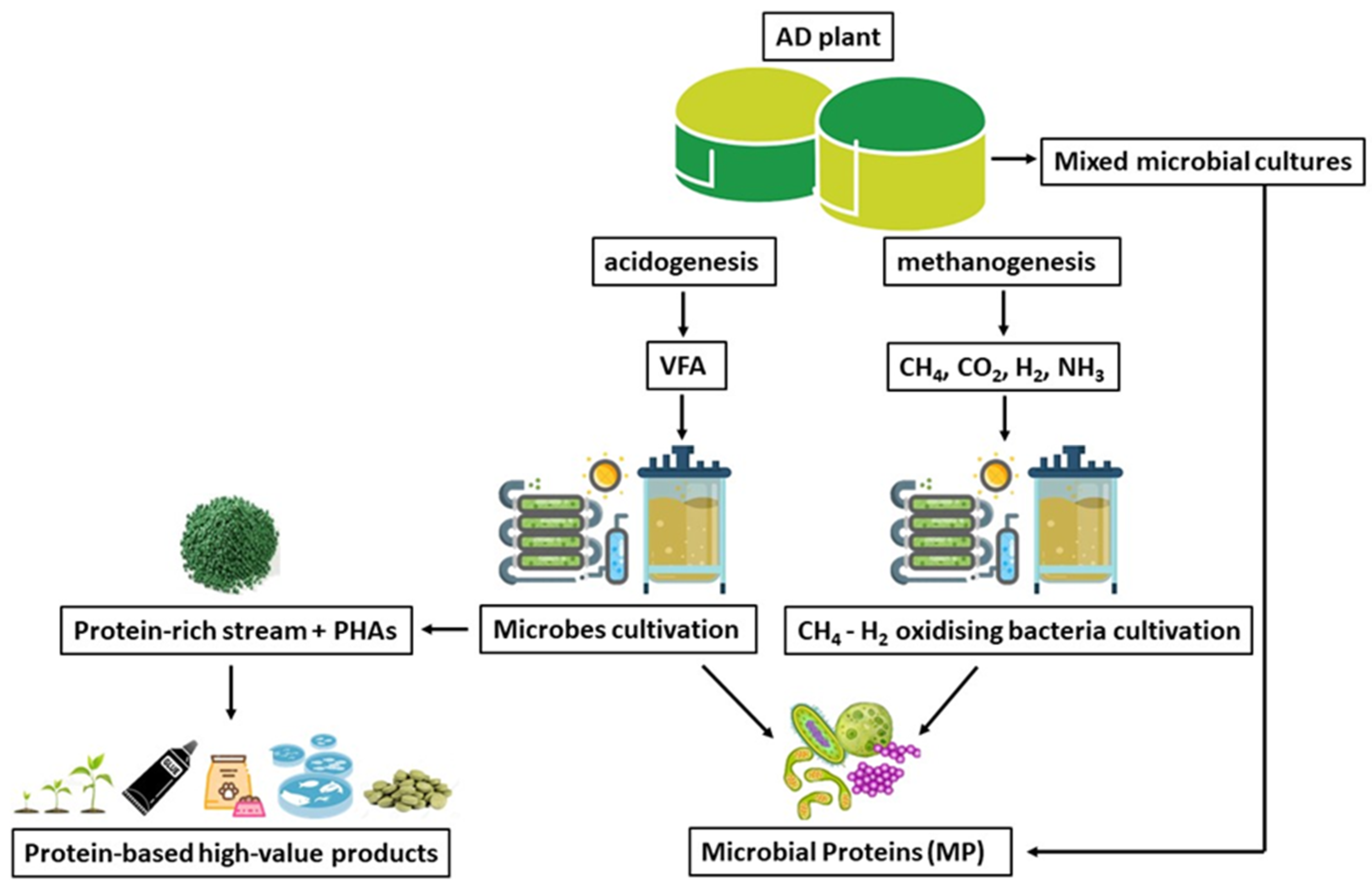 Processes 11 00415 g002