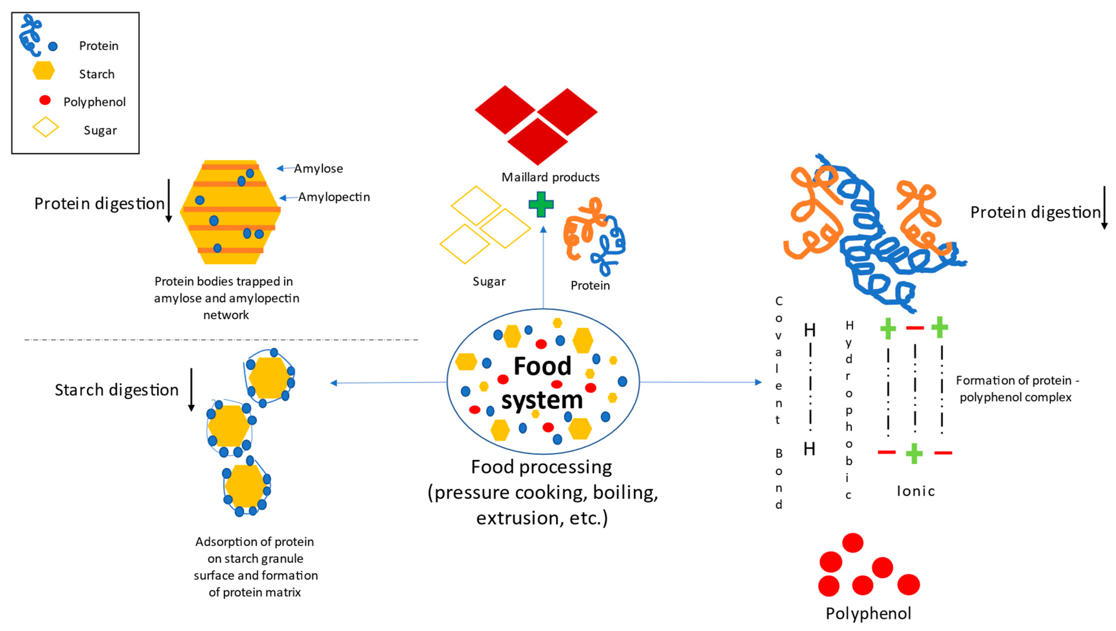 Processes 11 00417 g003