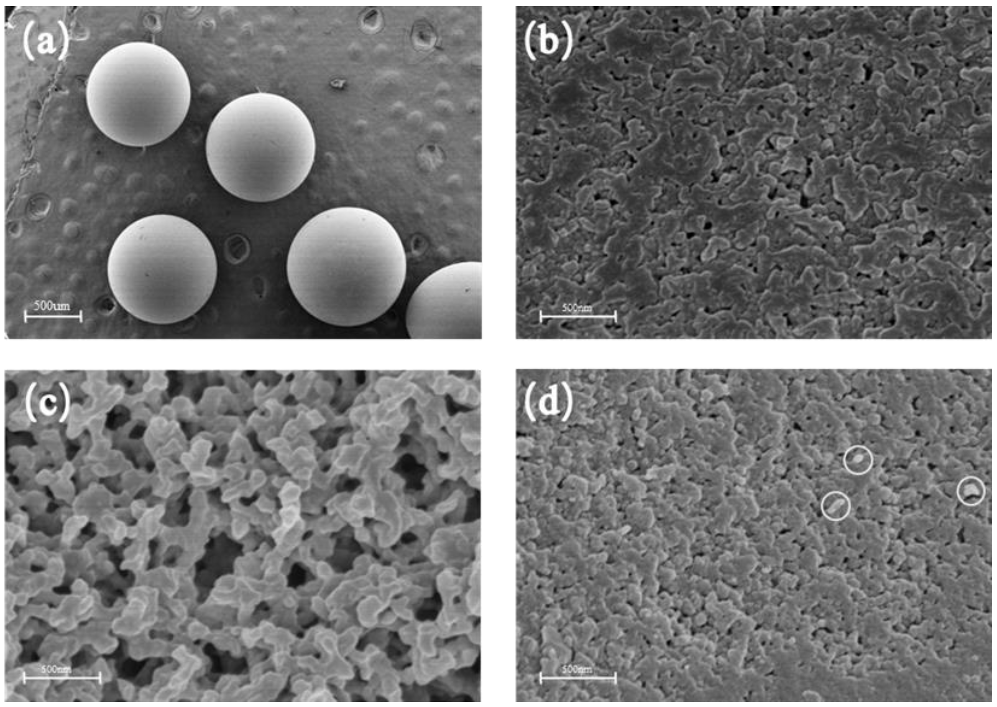 Processes 11 00429 g005 Processes 11 00429 g005