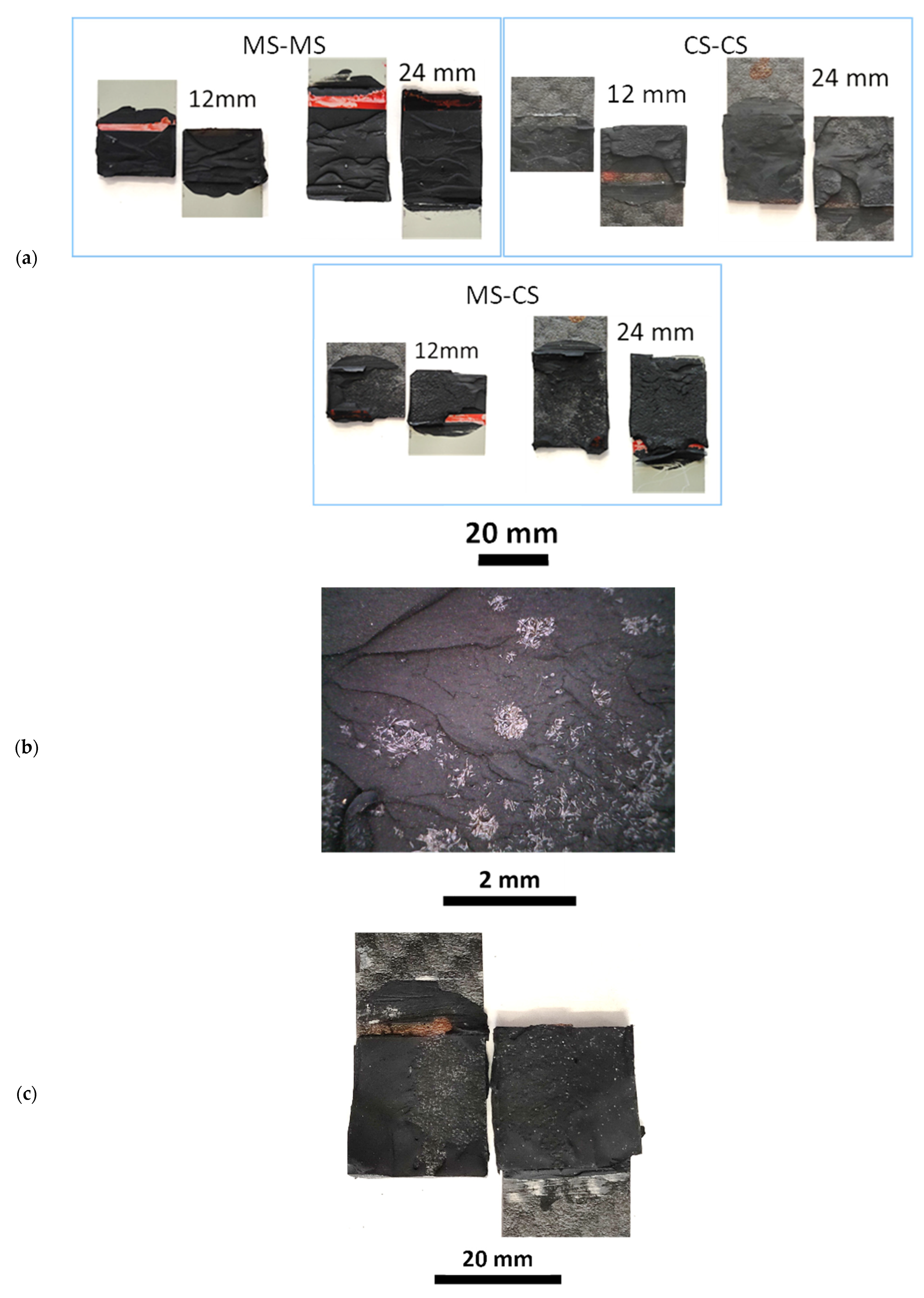Processes 11 00433 g004 550