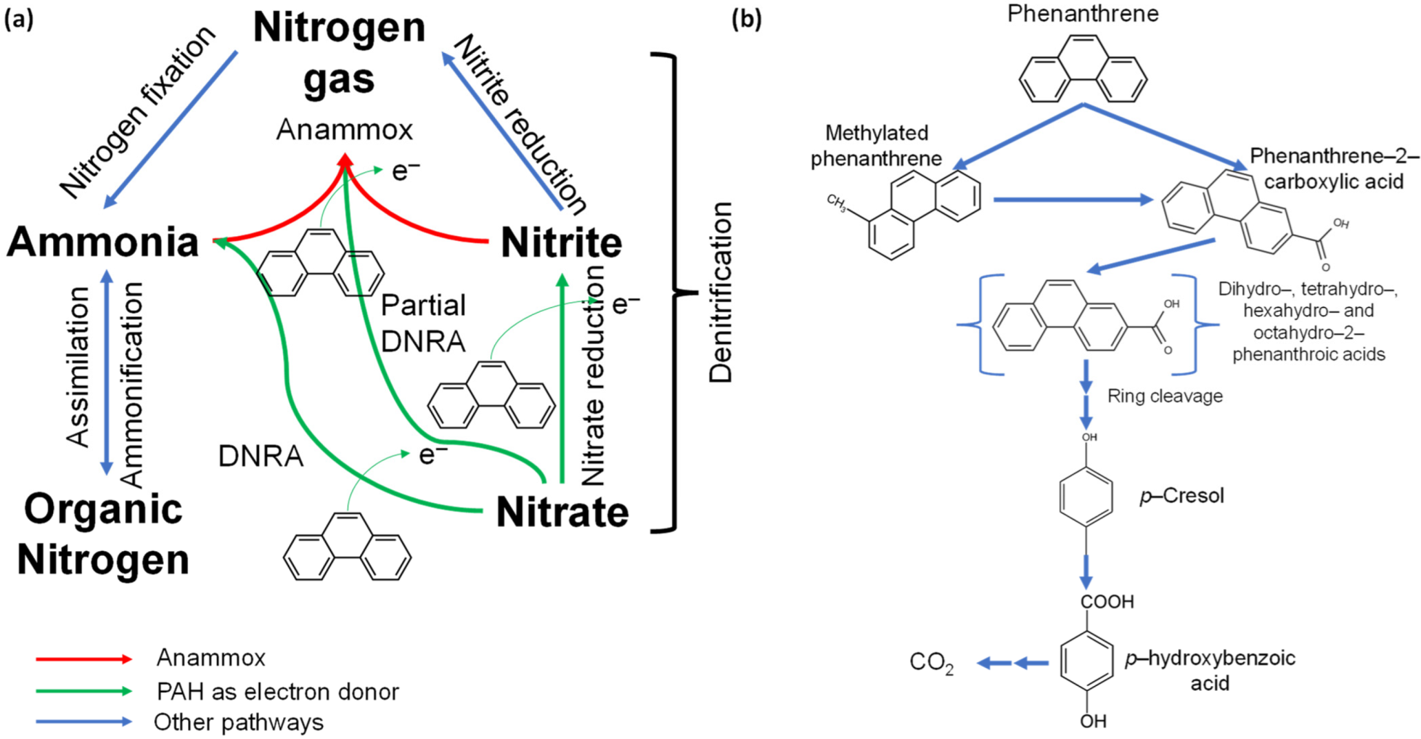 Processes 11 00458 g003 Processes 11 00458 g003