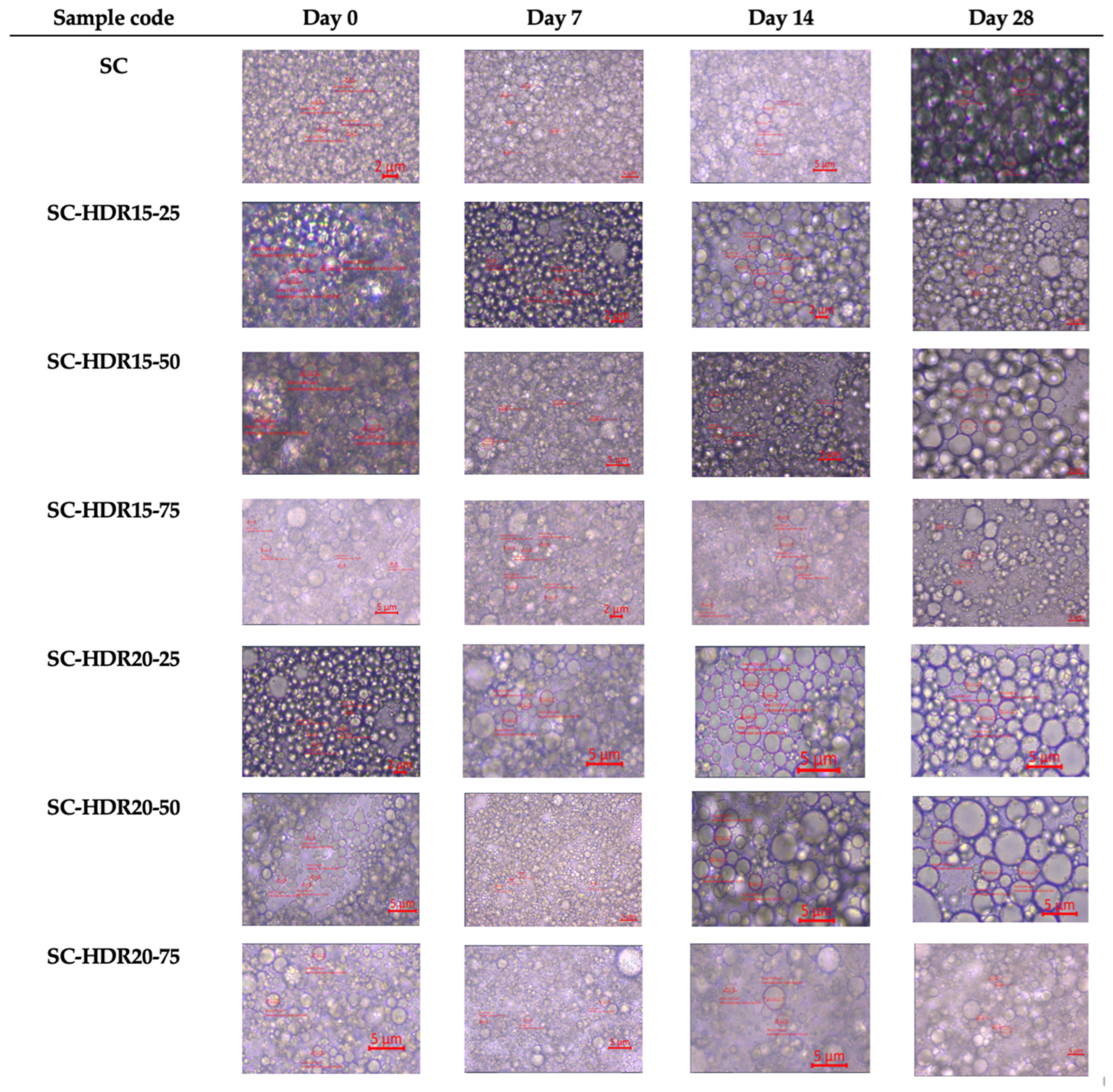 Processes 11 00492 g003