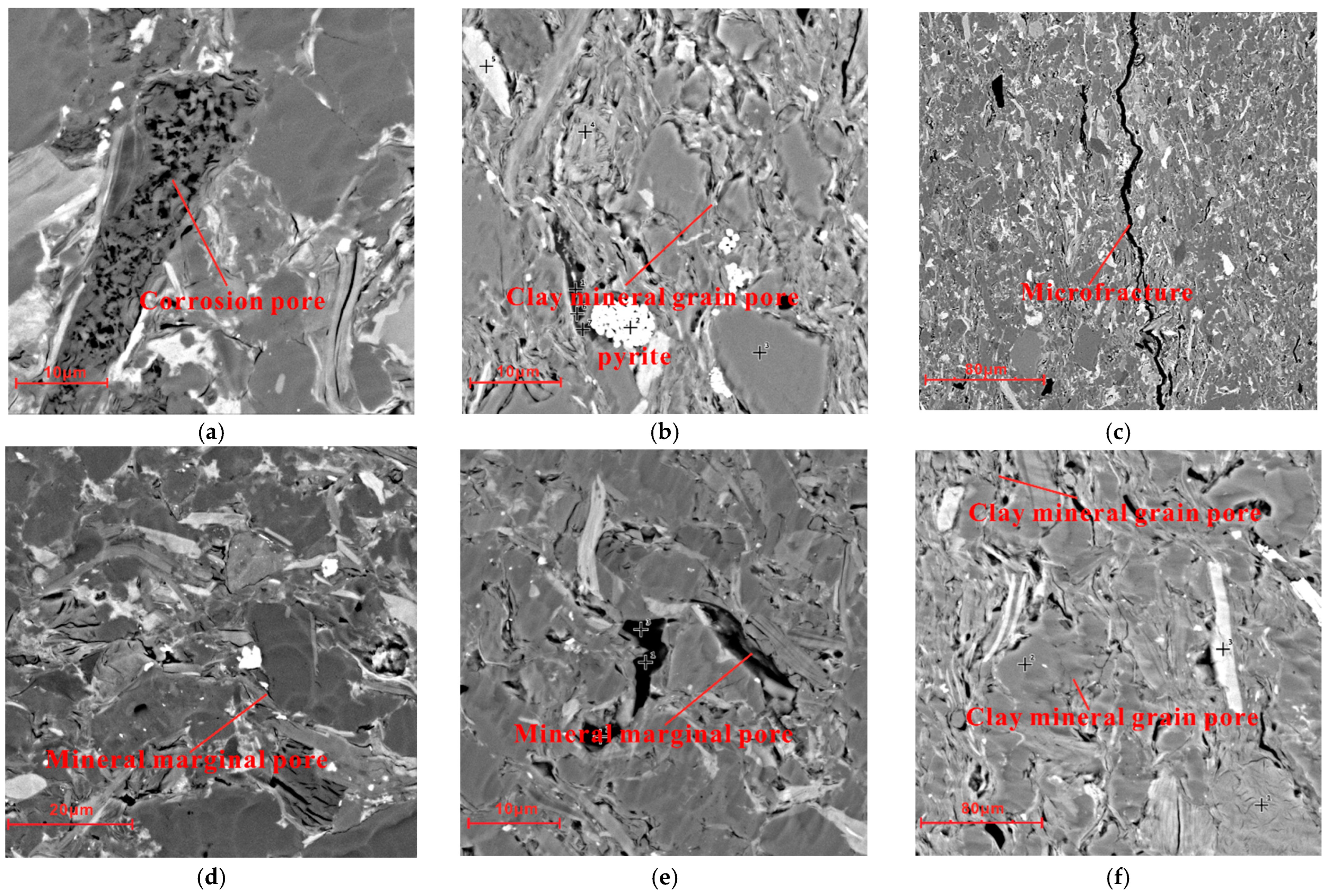 Processes 11 00493 g002