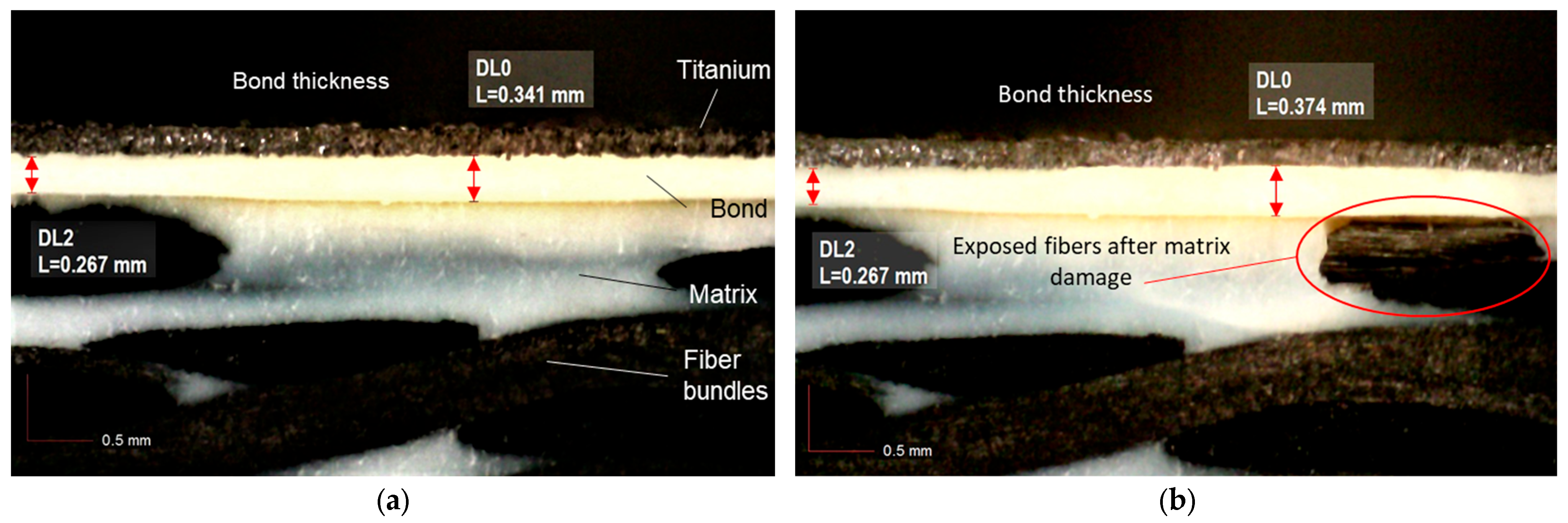 Processes 11 00506 g012 Processes 11 00506 g012
