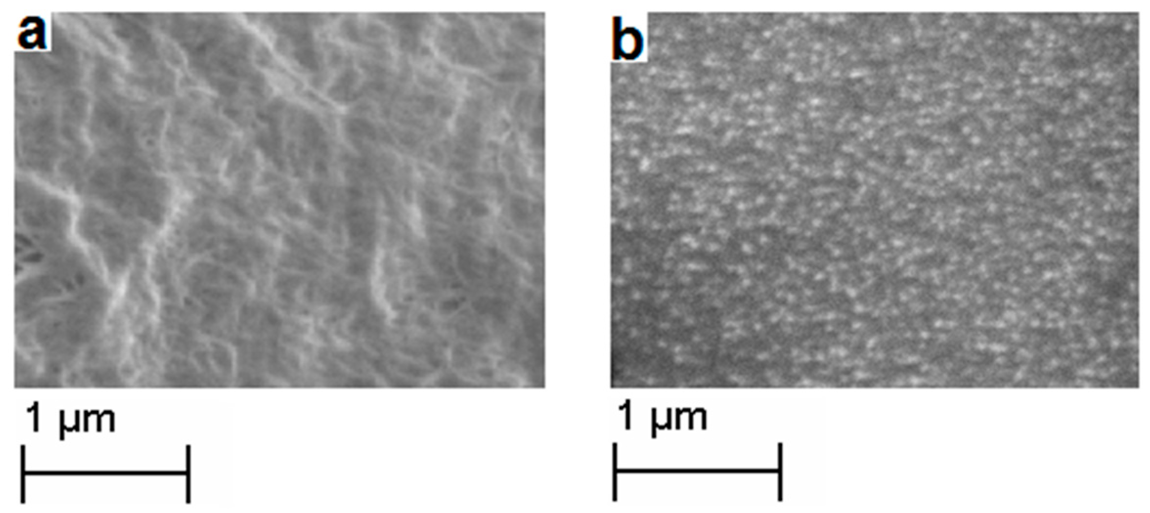 Processes 11 00515 g009 Processes 11 00515 g009
