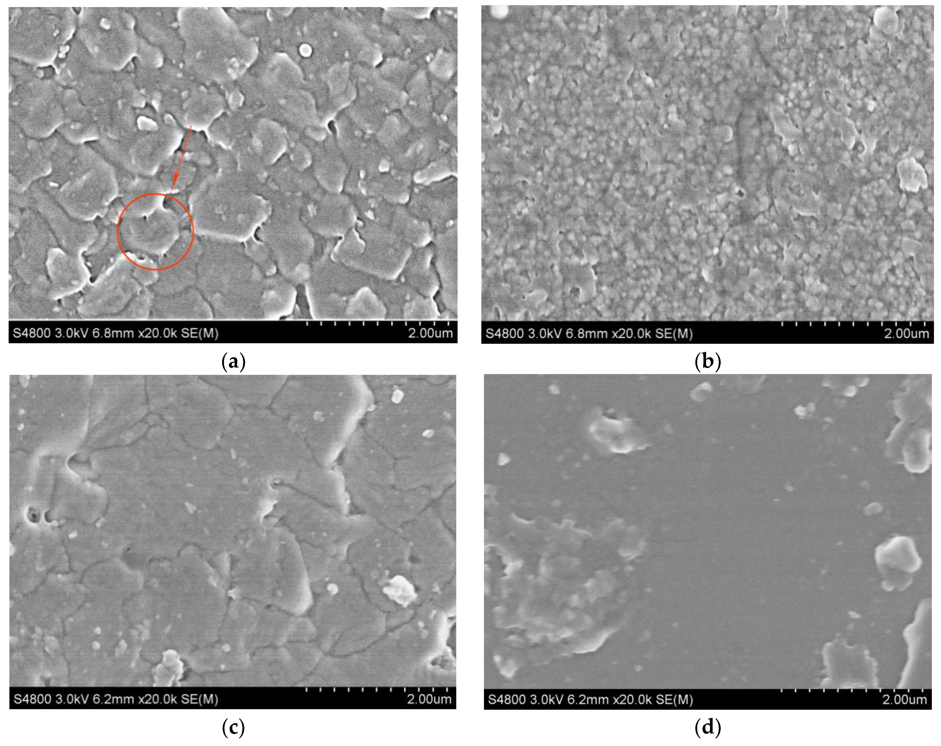 Processes 11 00521 g008 550