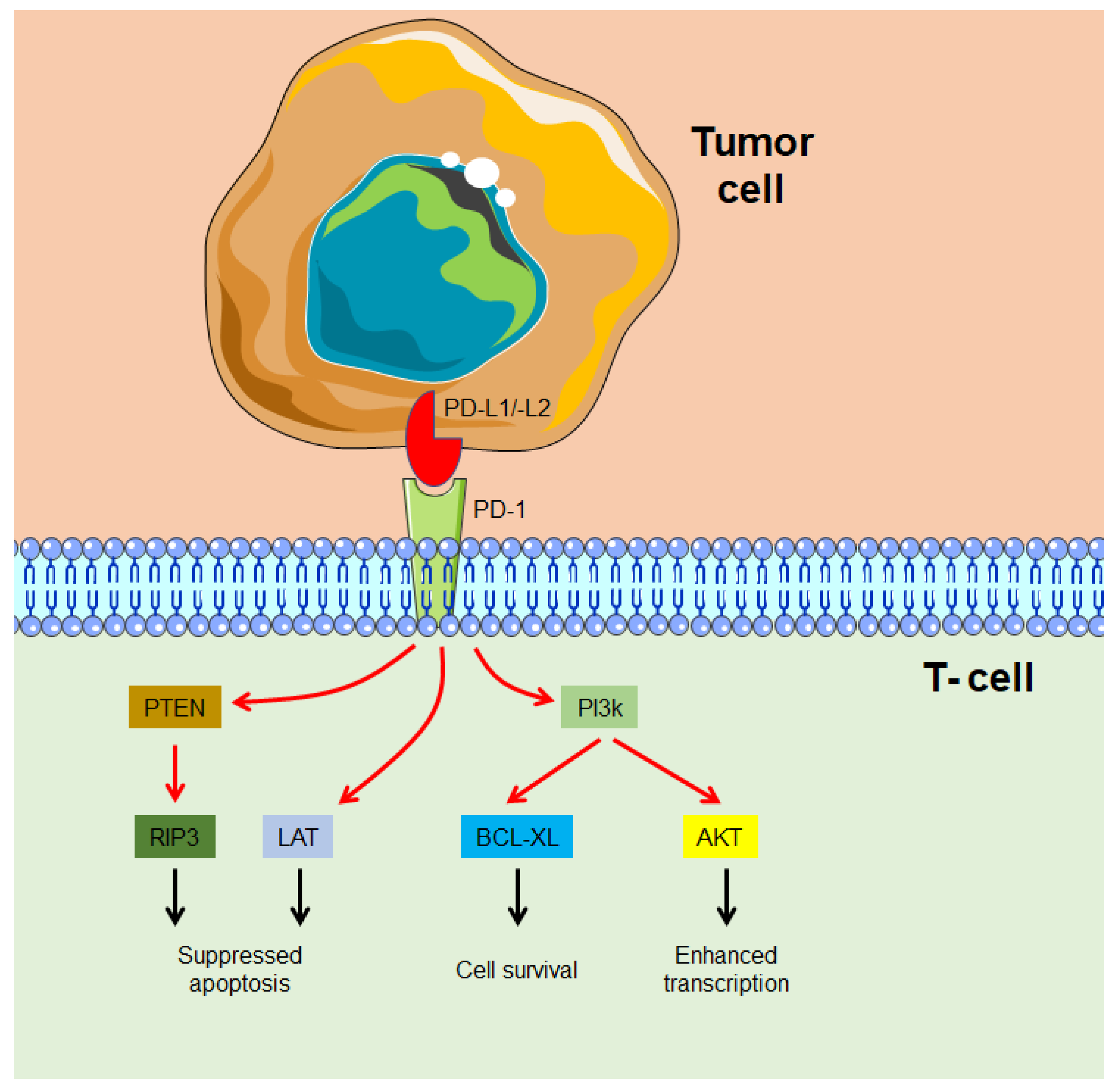 Processes 11 00538 g004 Processes 11 00538 g004