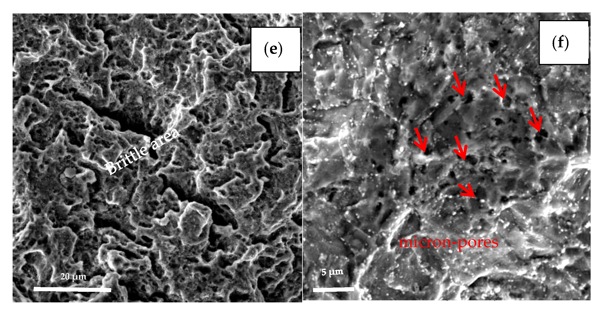Processes 11 00548 g009b 550