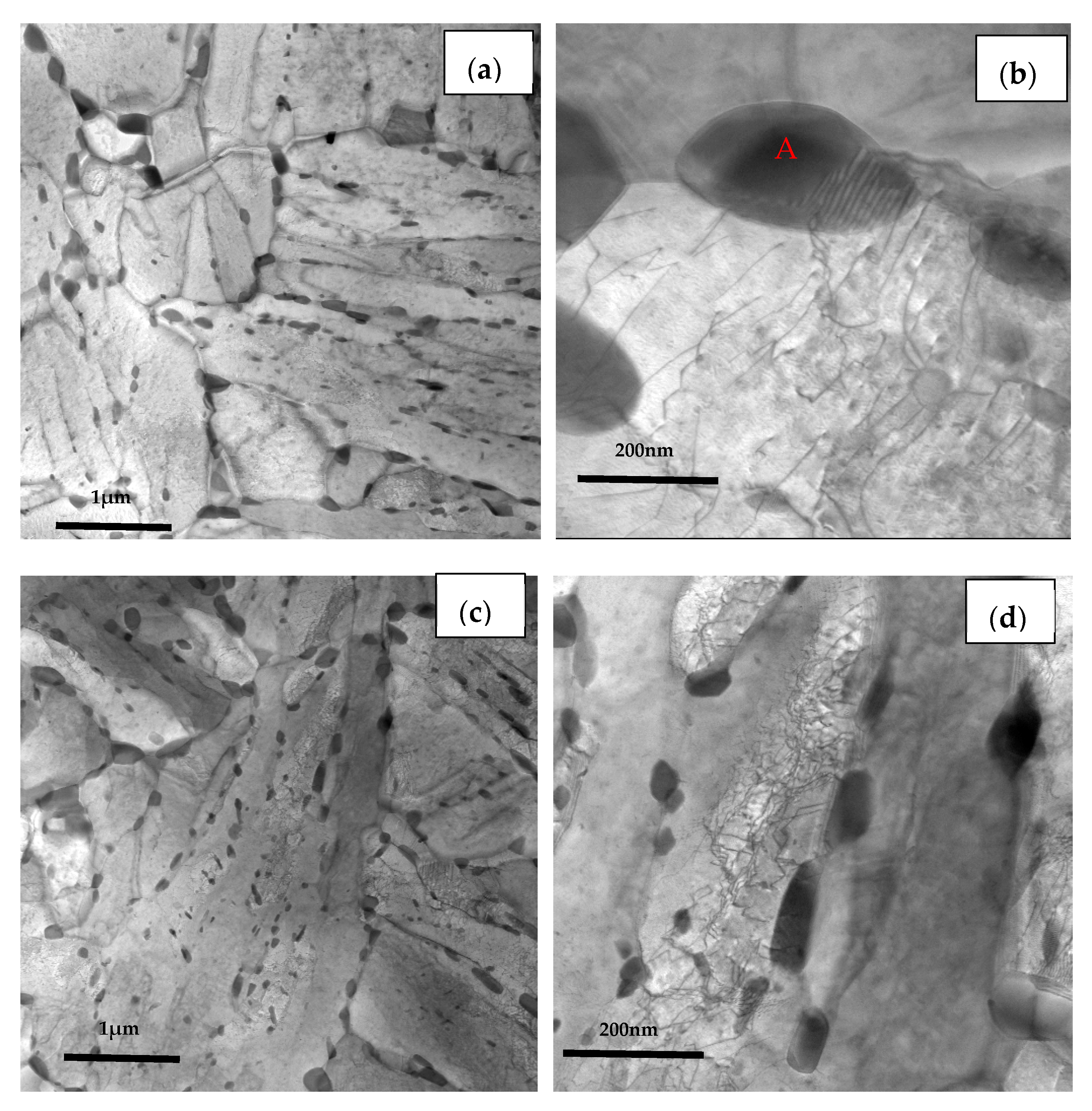 Processes 11 00548 g011a 550