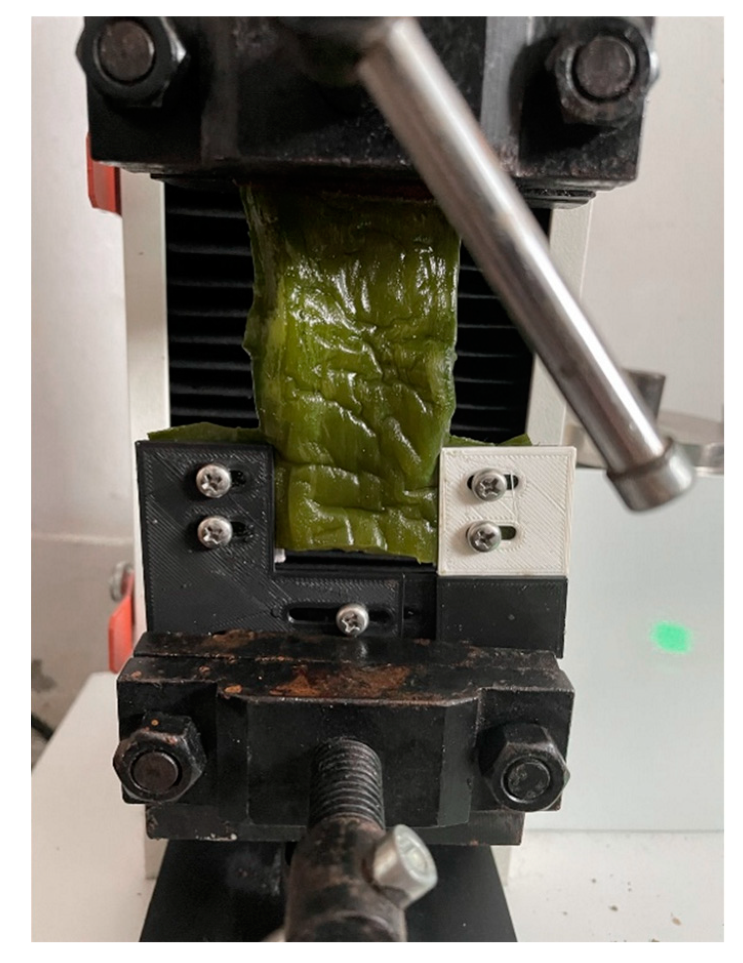 Processes 11 00552 g010