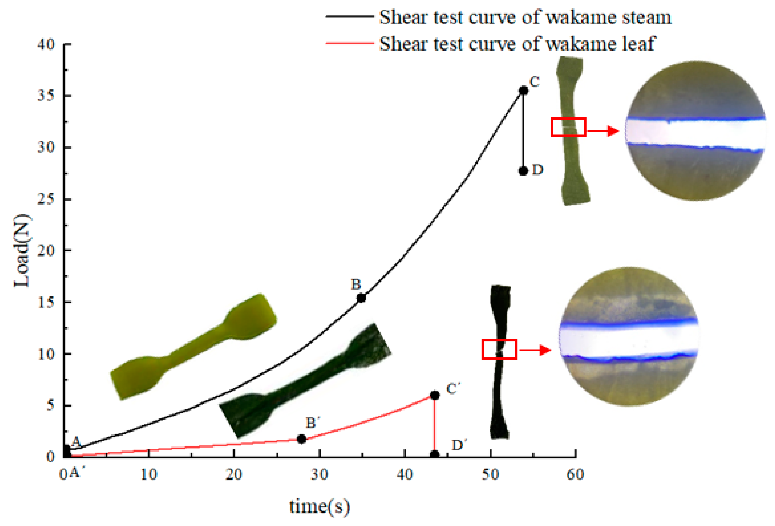 Processes 11 00552 g018