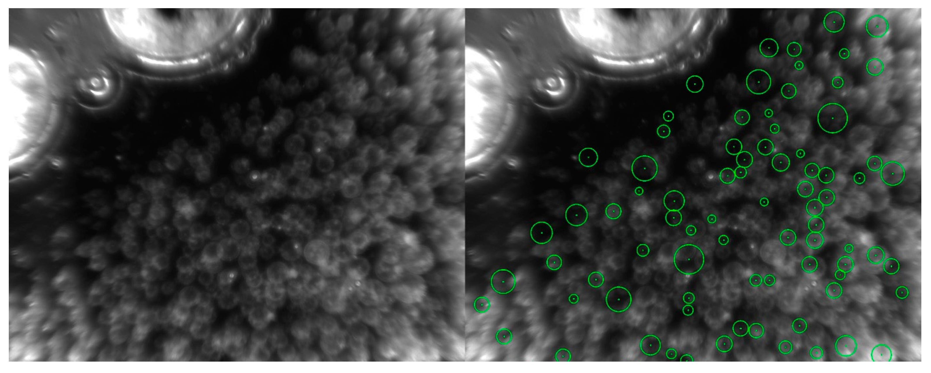 Processes 11 00553 g024 550