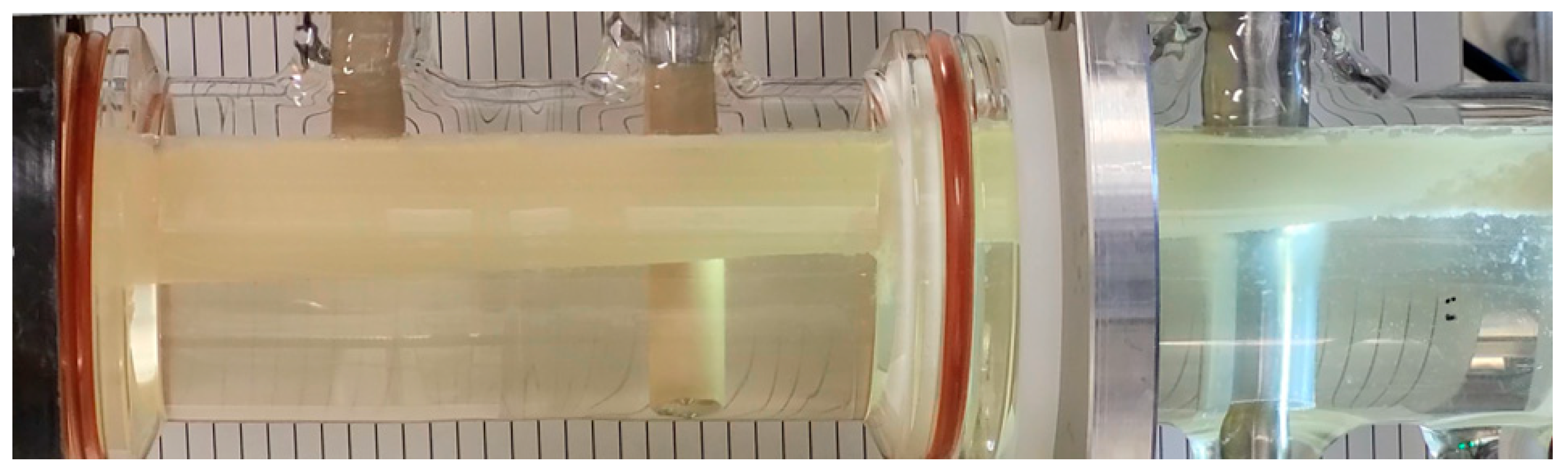 Processes 11 00553 g027 550