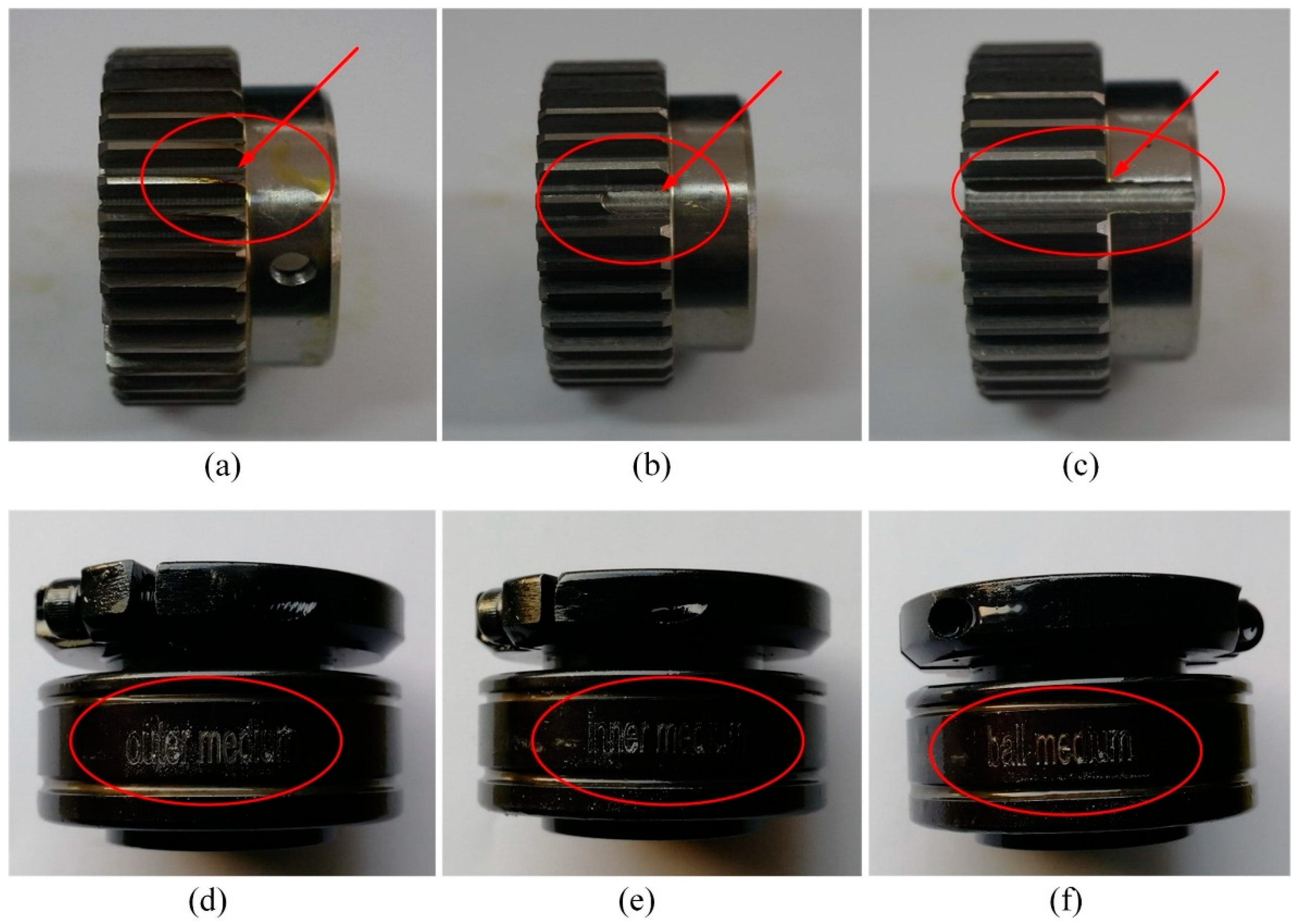 Processes 11 00556 g013