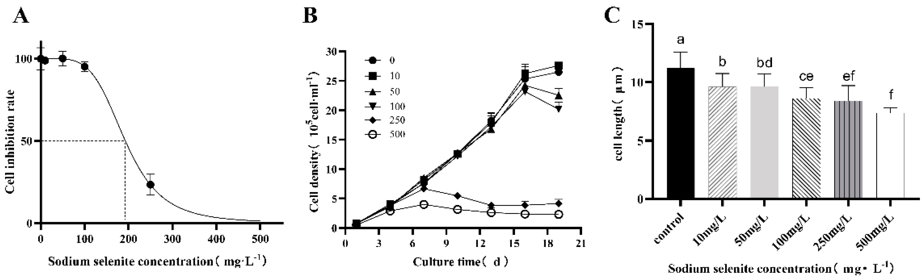 Processes 11 00563 g001
