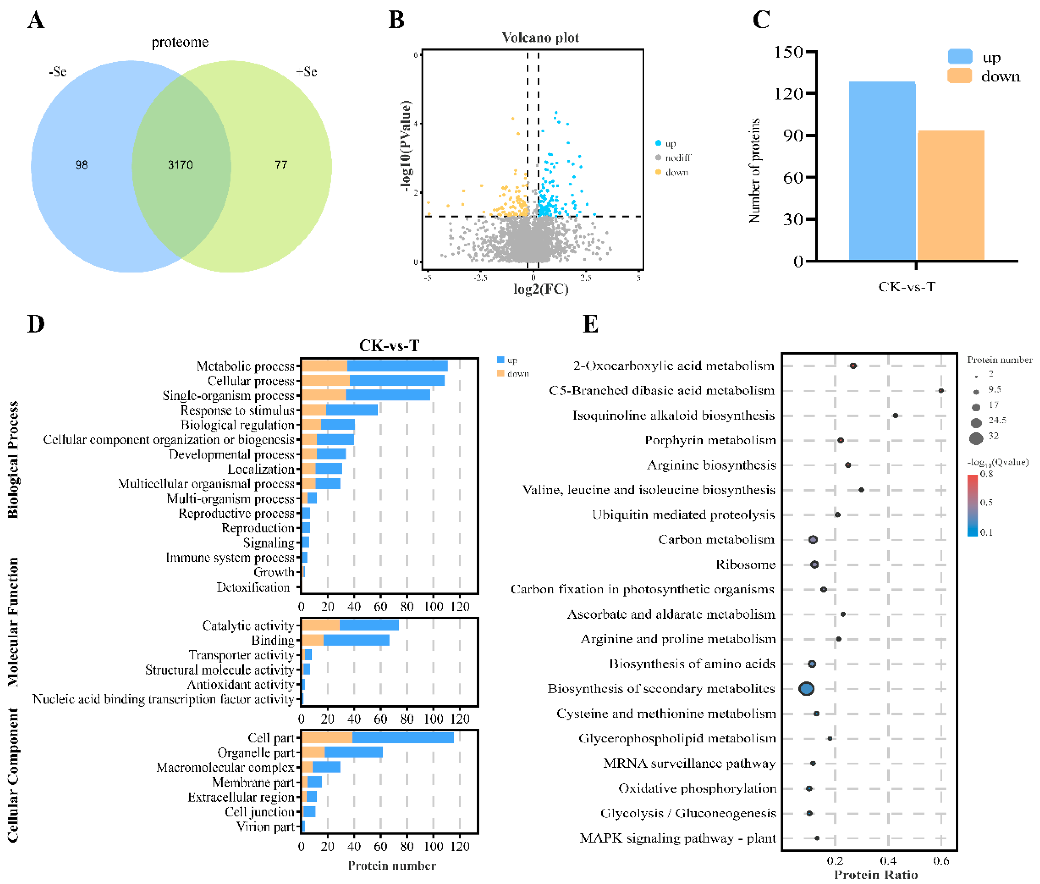 Processes 11 00563 g005