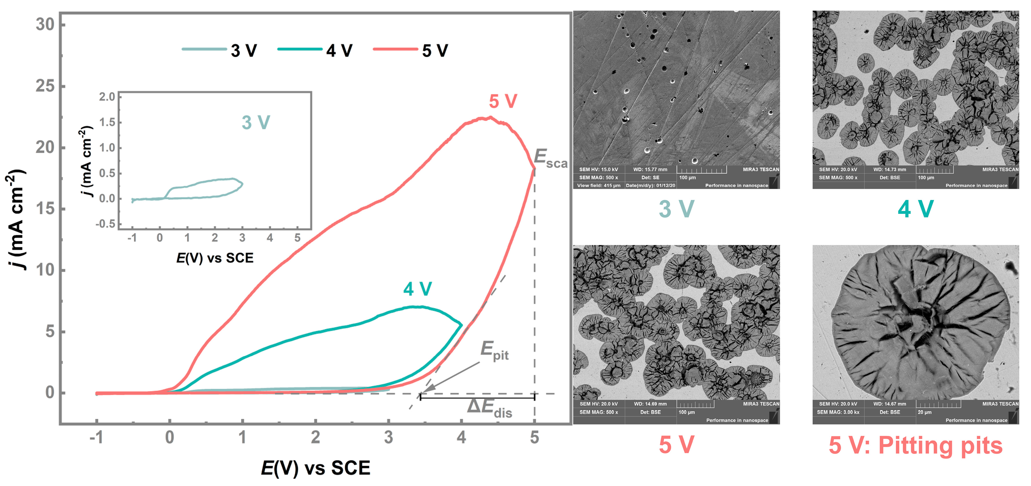 Processes 11 00564 g003