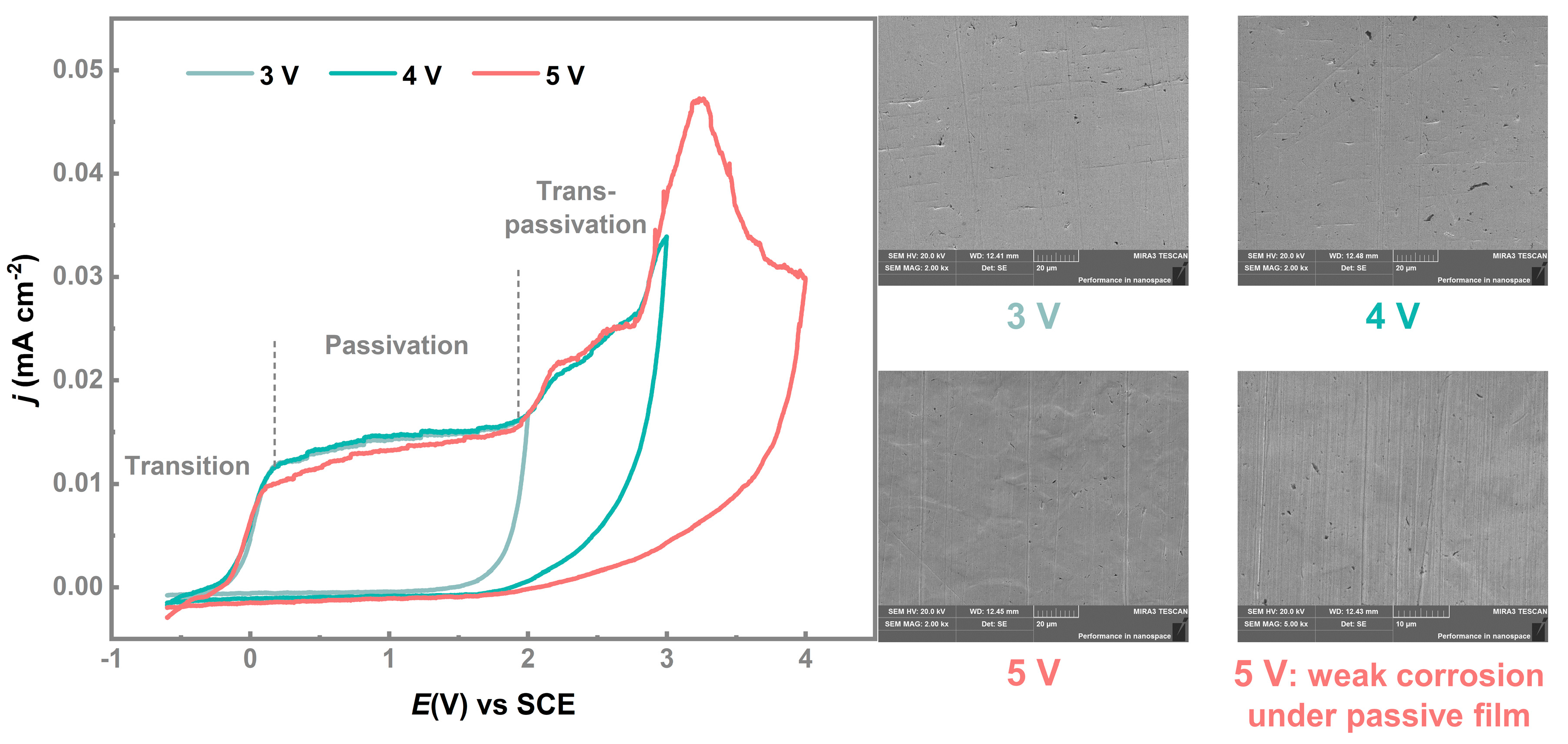 Processes 11 00564 g005