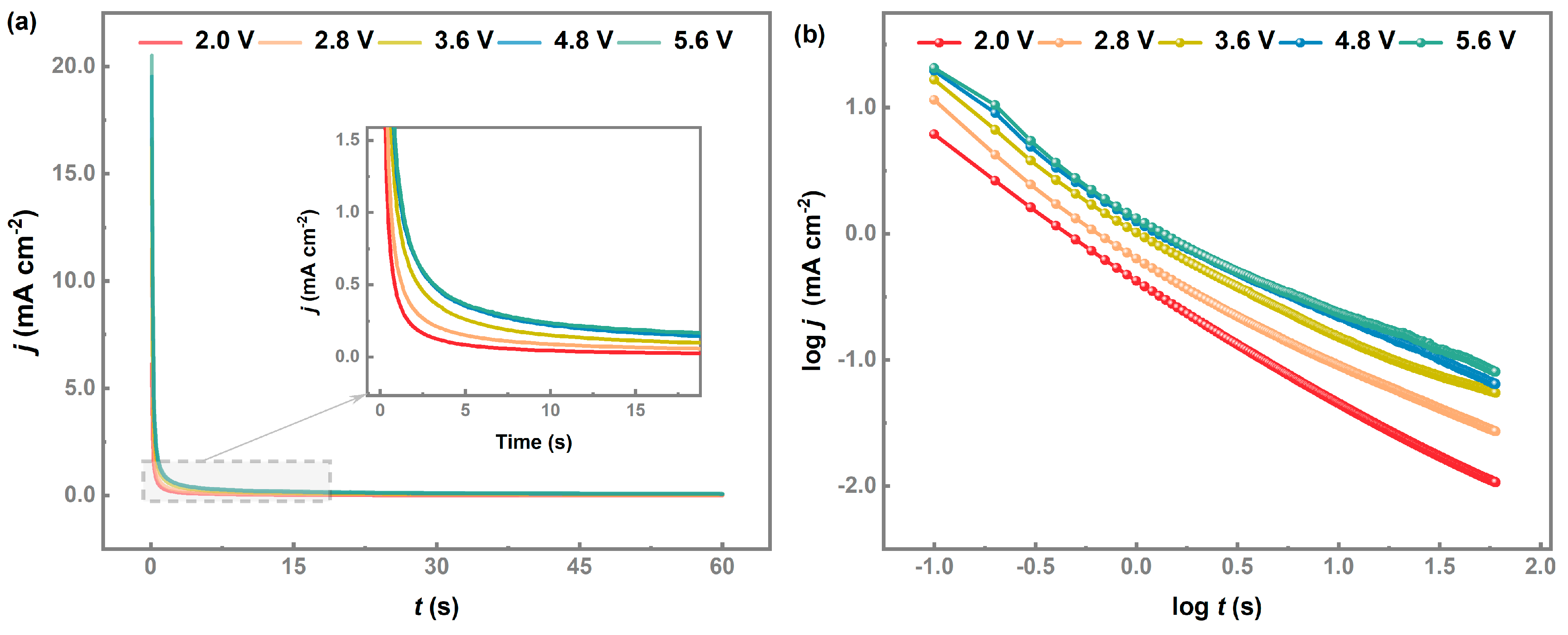 Processes 11 00564 g006